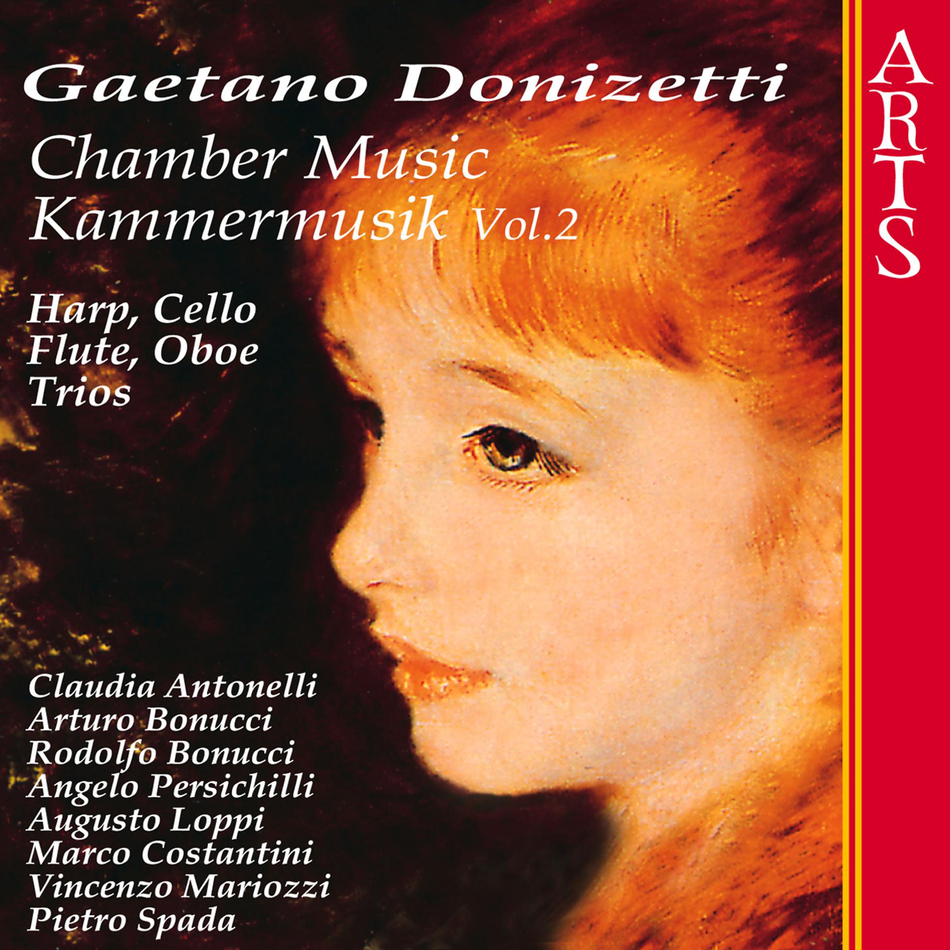 Постер альбома Donizetti: Chamber Music Vol. 2