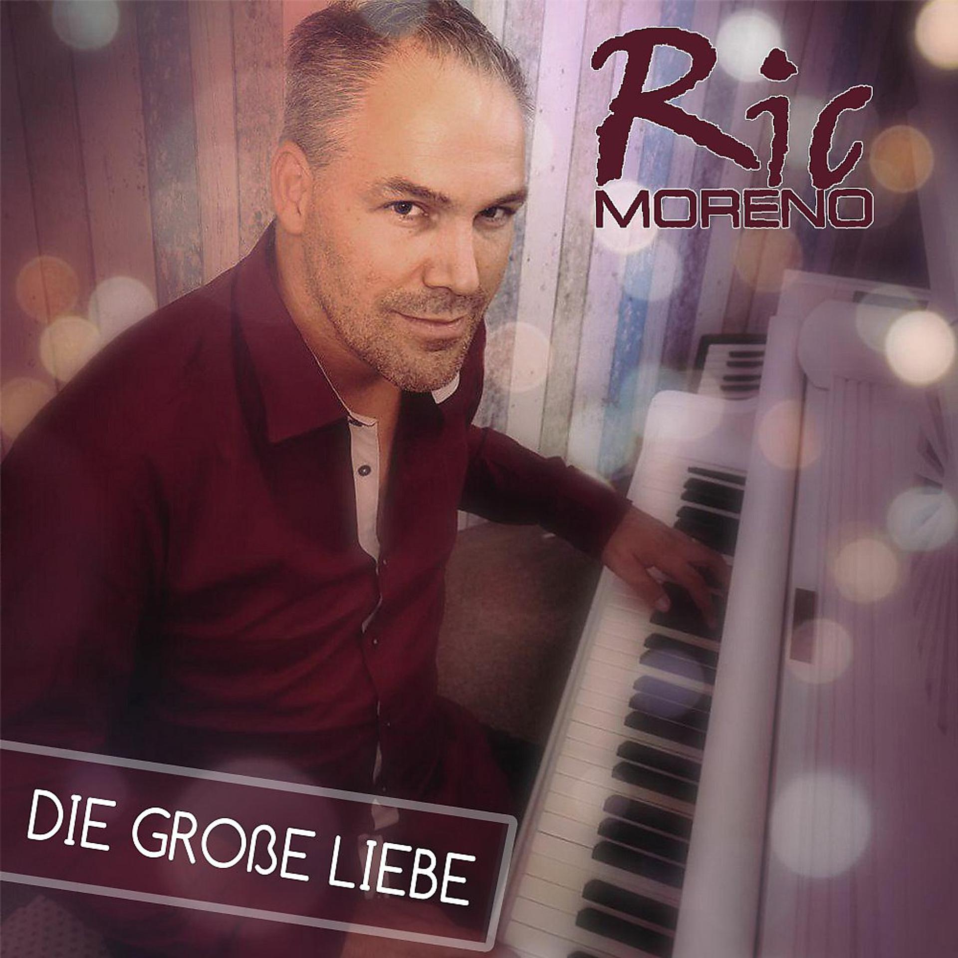 Постер альбома Die grosse Liebe