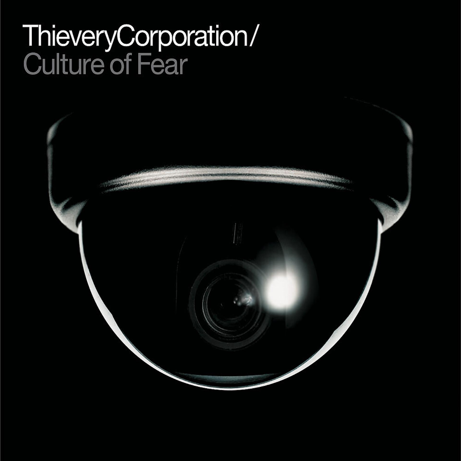 Постер альбома Culture of Fear