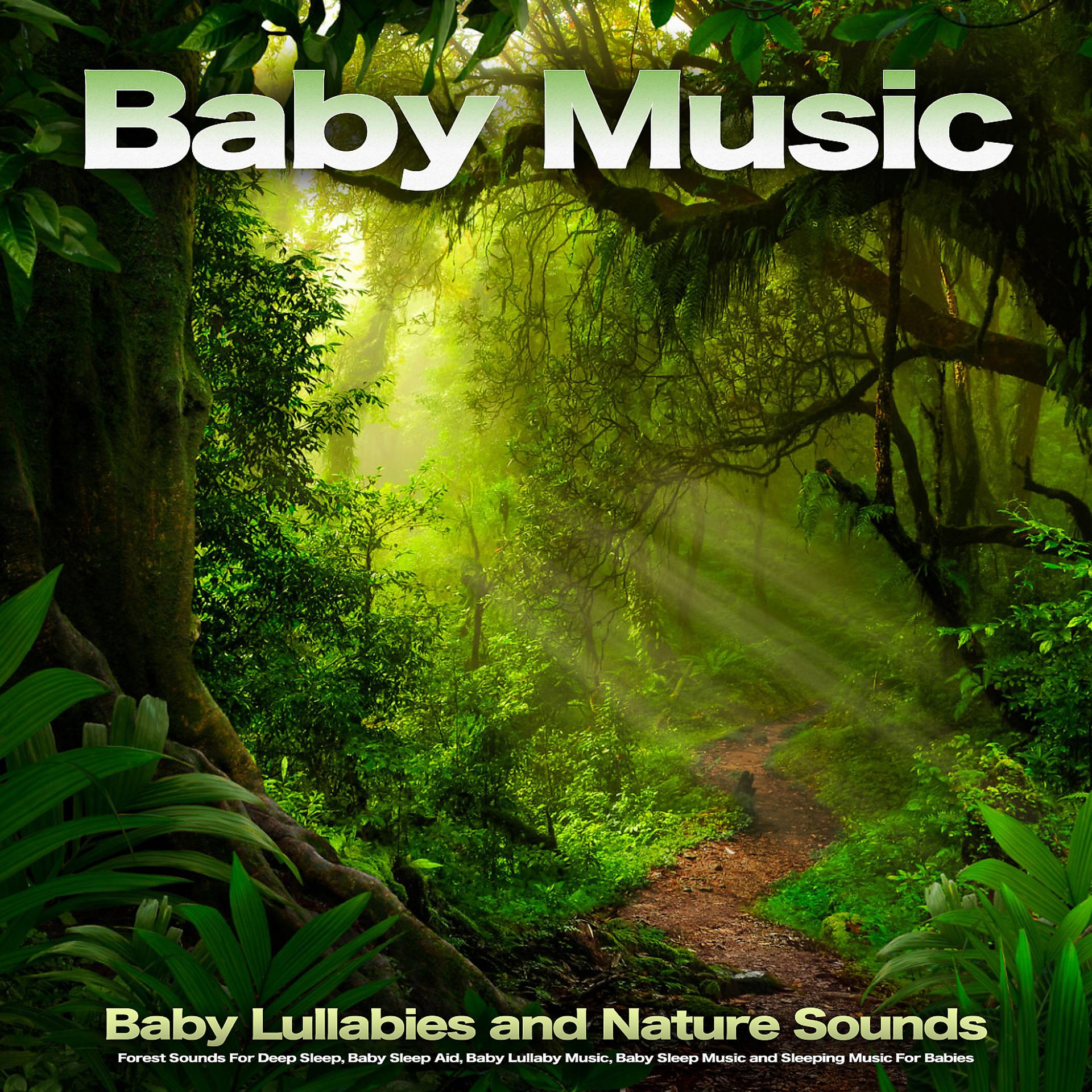 Постер альбома Baby Music: Baby Lullabies and Nature Sounds, Forest Sounds For Deep Sleep, Baby Sleep Aid, Baby Lullaby Music, Baby Sleep Music and Sleeping Music For Babies