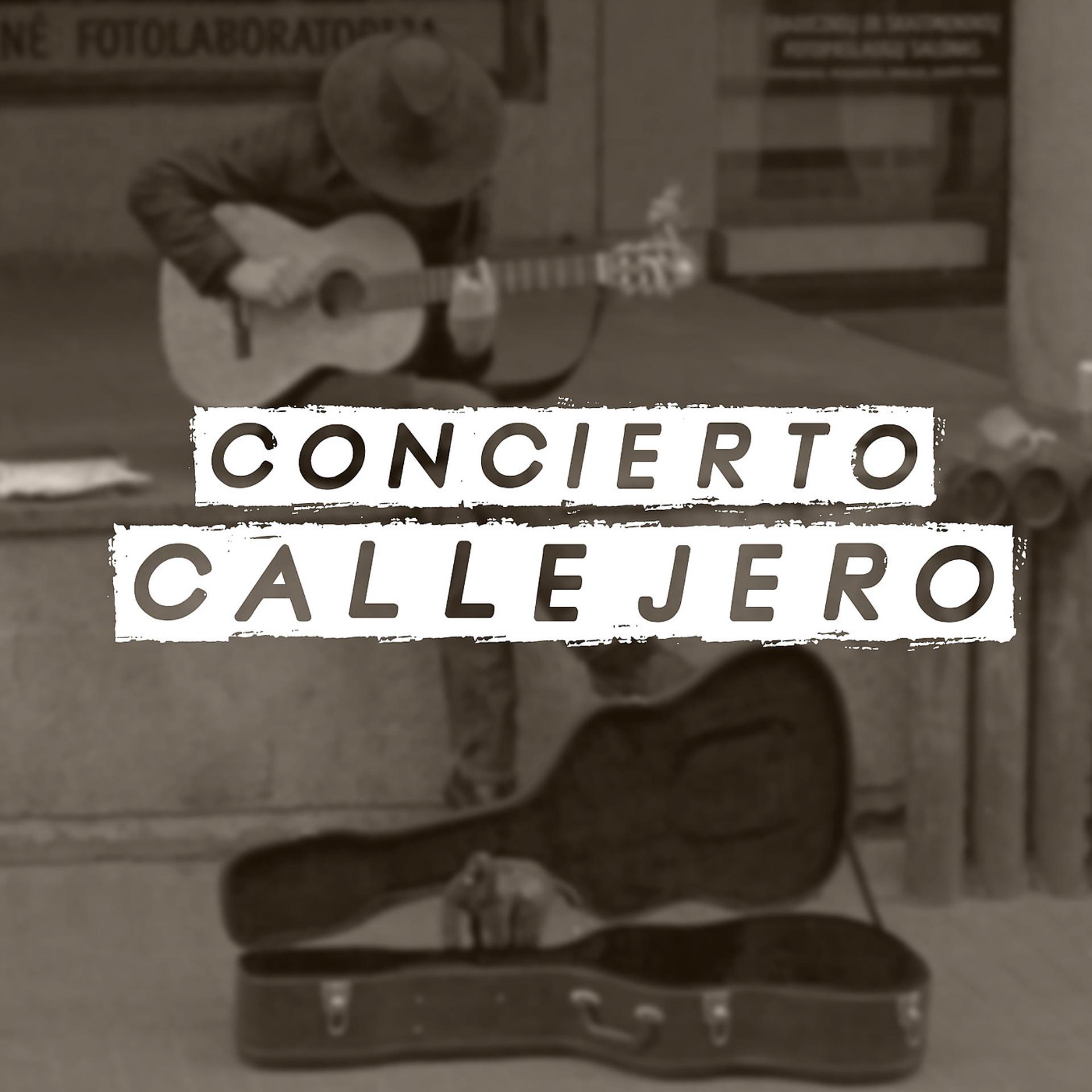 Постер альбома Concierto Callejero (En Vivo)