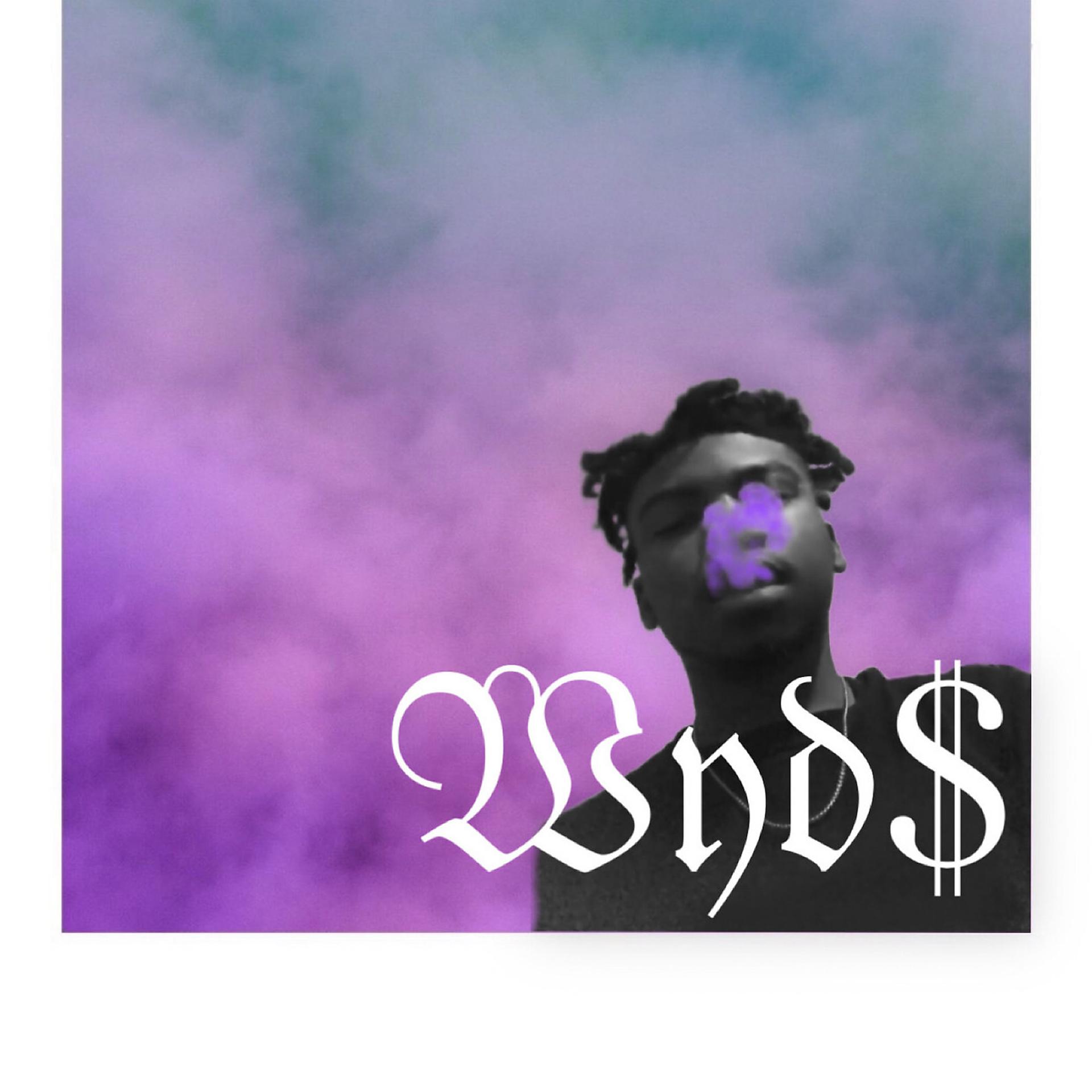 Постер альбома Wyd$