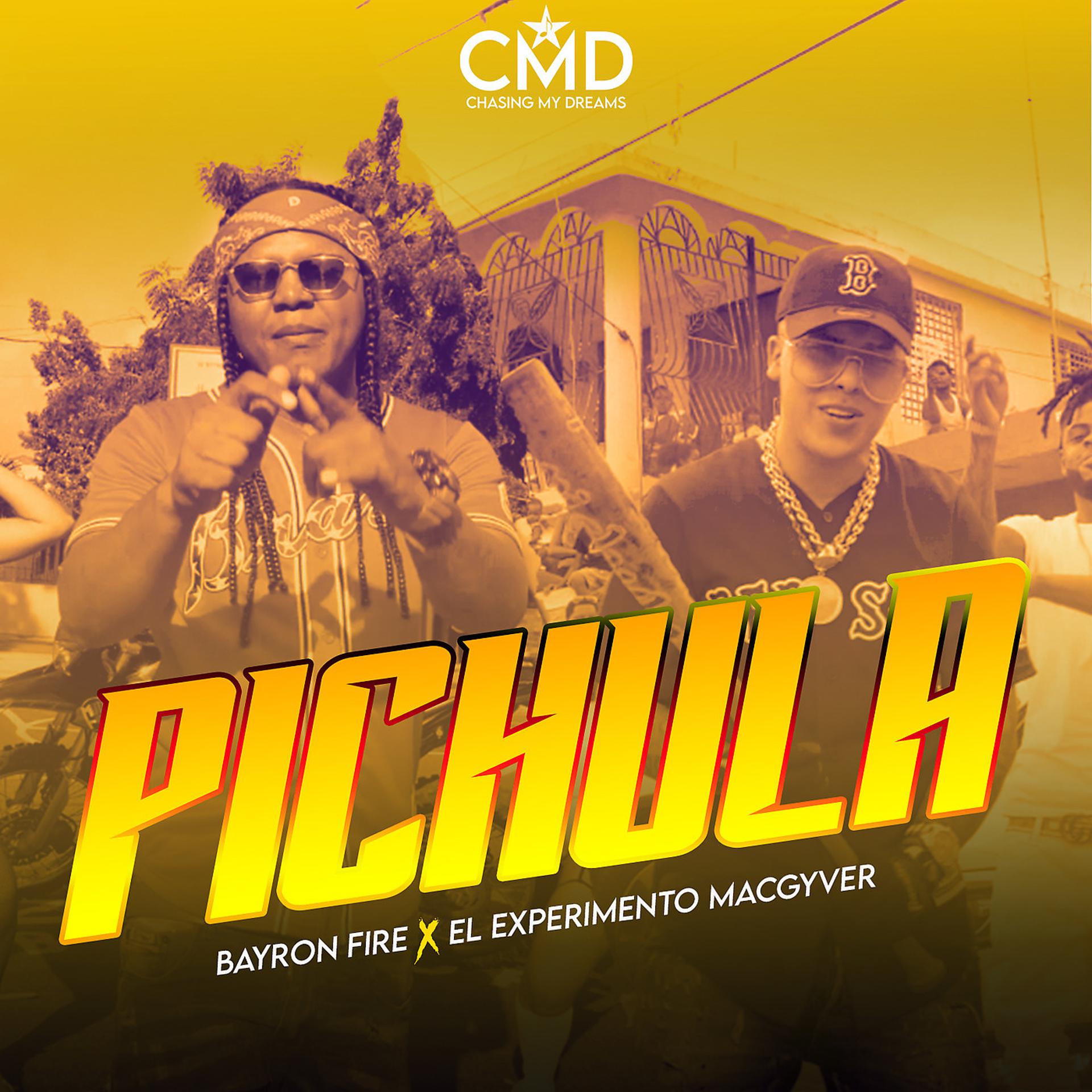 Постер альбома Pichula