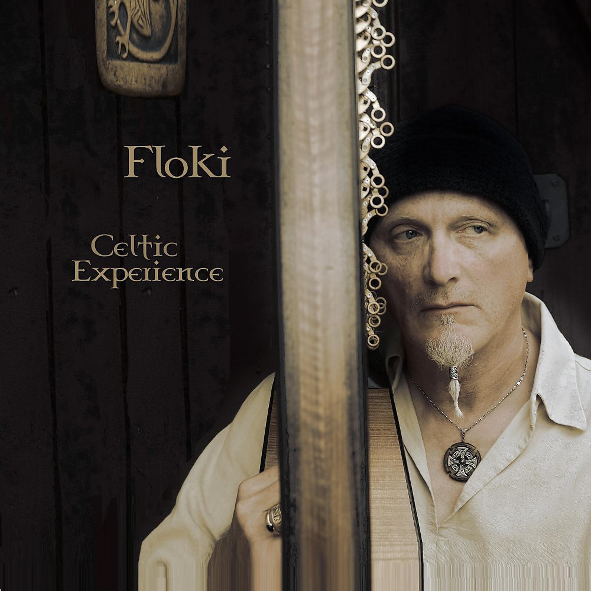 Постер альбома Celtic Experience
