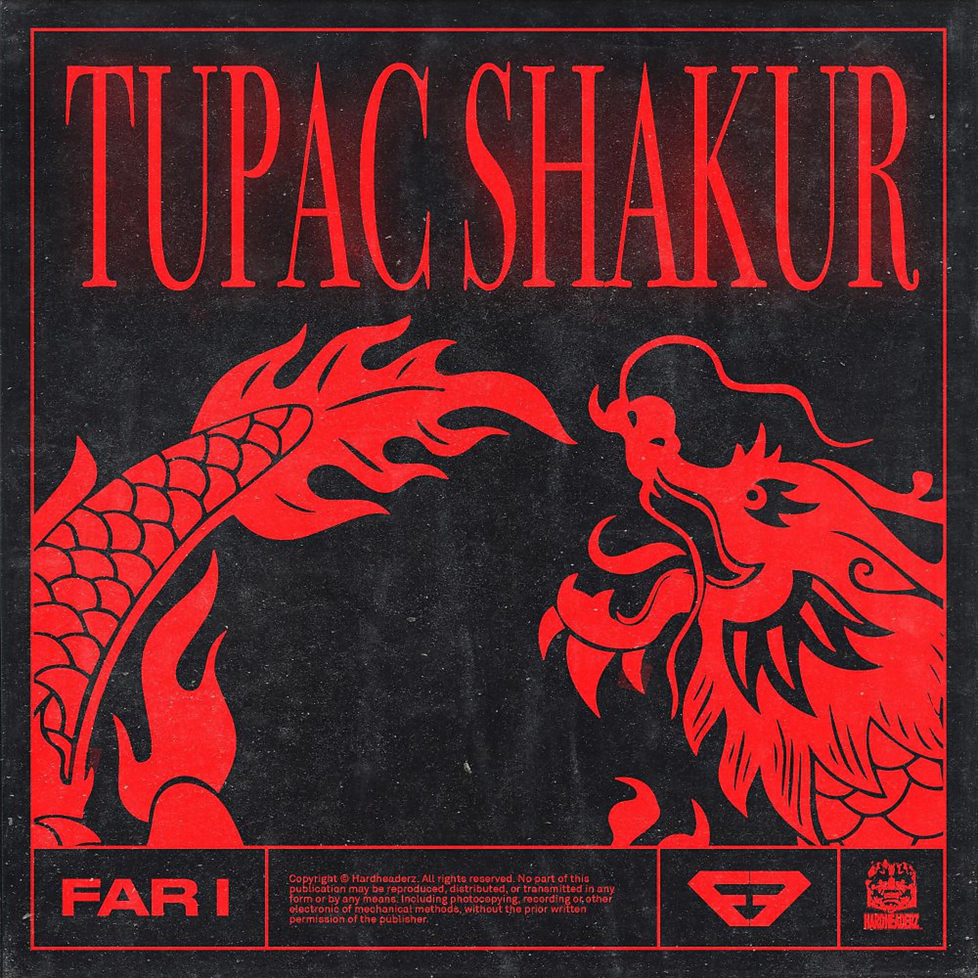Постер альбома Tupac Shakur