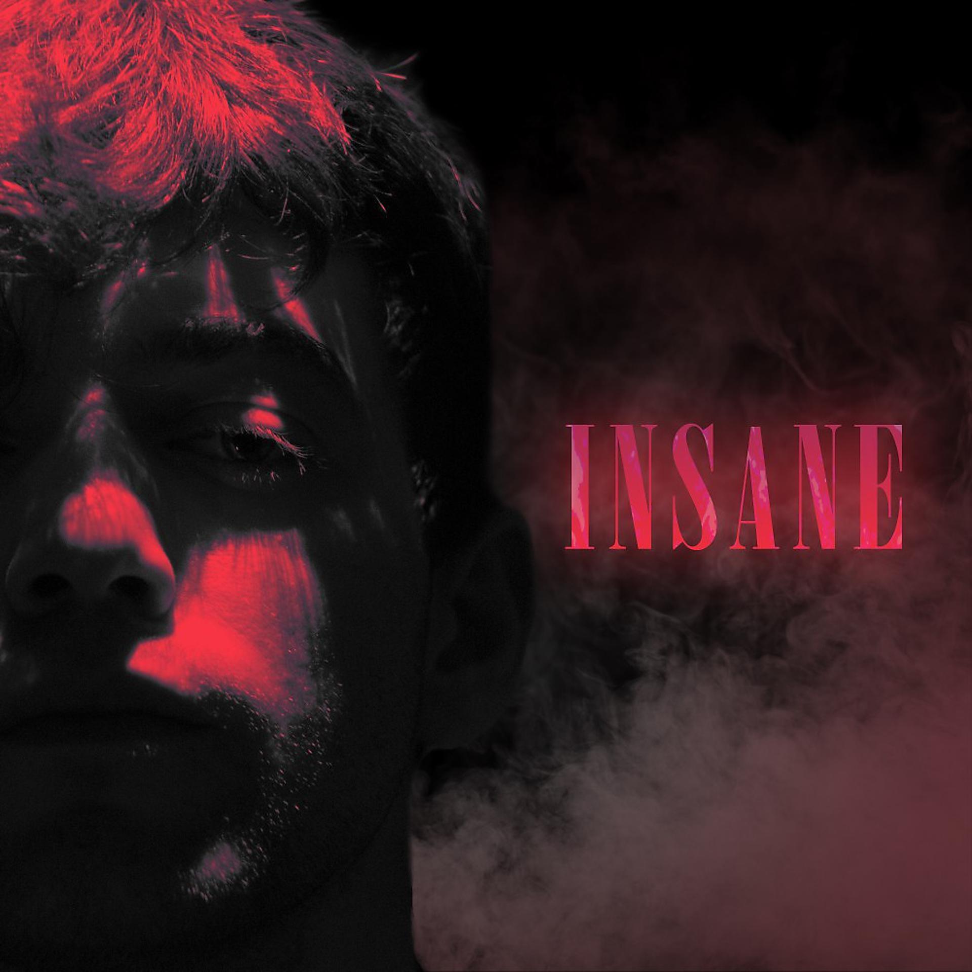 Постер альбома Insane - Single