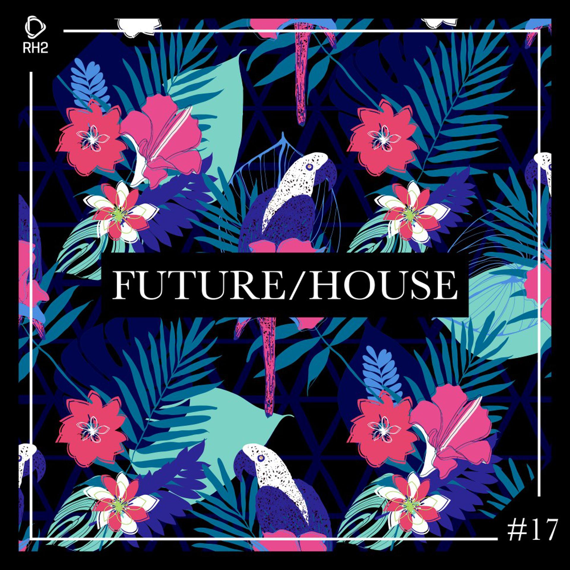 Постер альбома Future/House #17