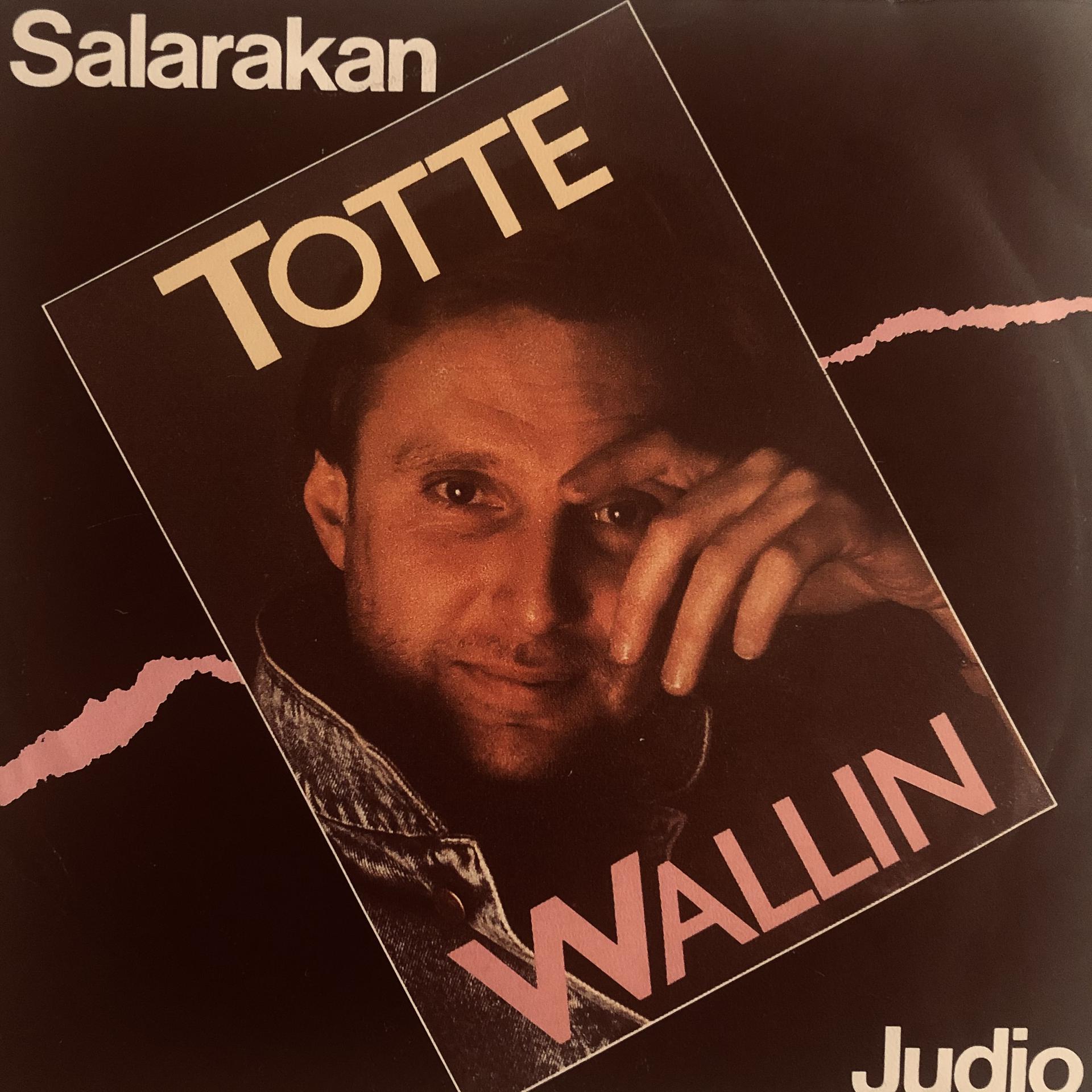 Постер альбома Sala-rakan