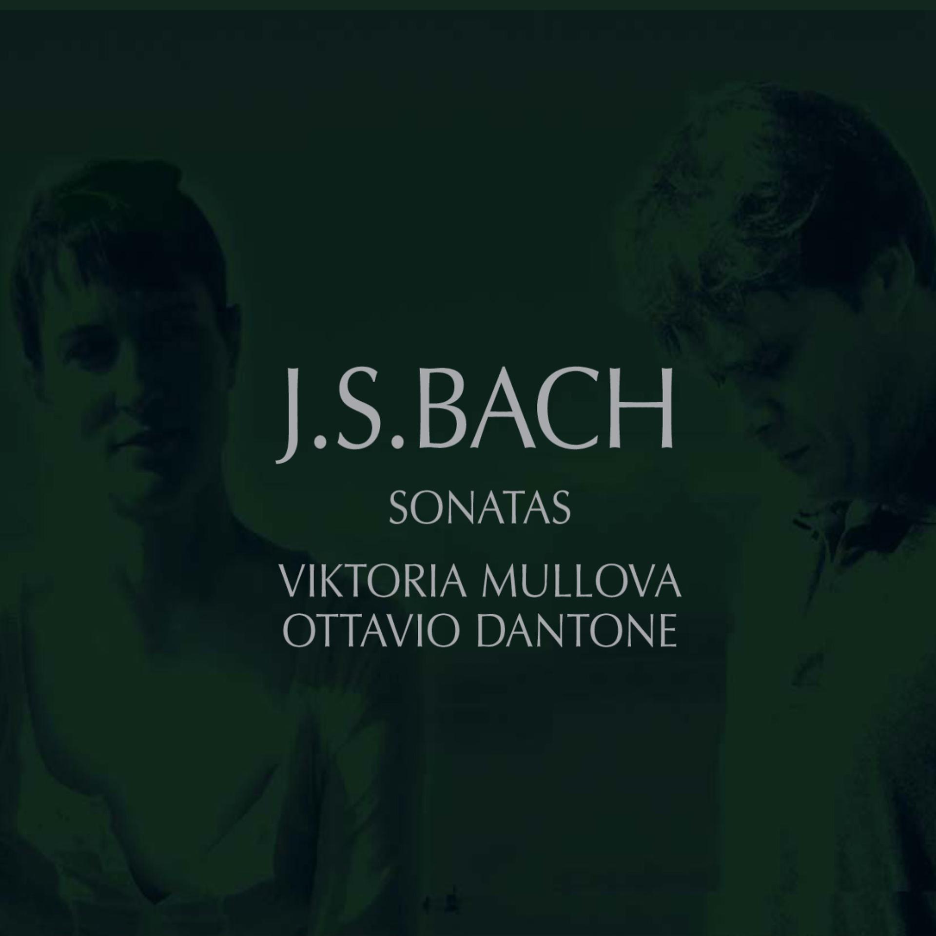 Постер альбома J.S. Bach: Sonatas for Violin and Harpsichord