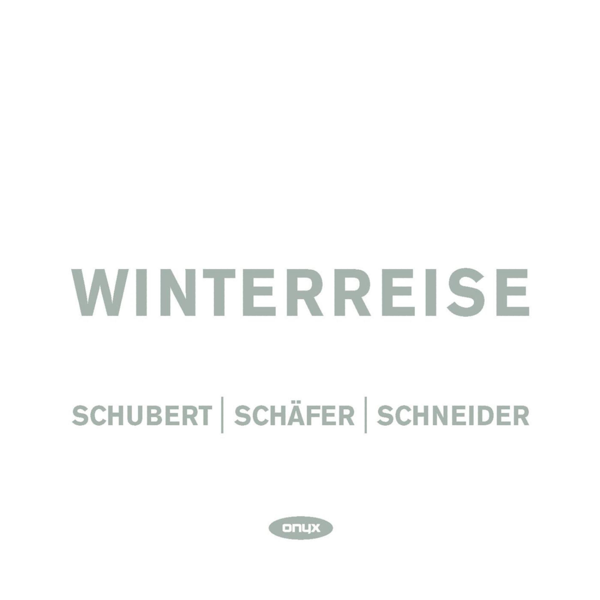 Постер альбома Schubert - Winterreise