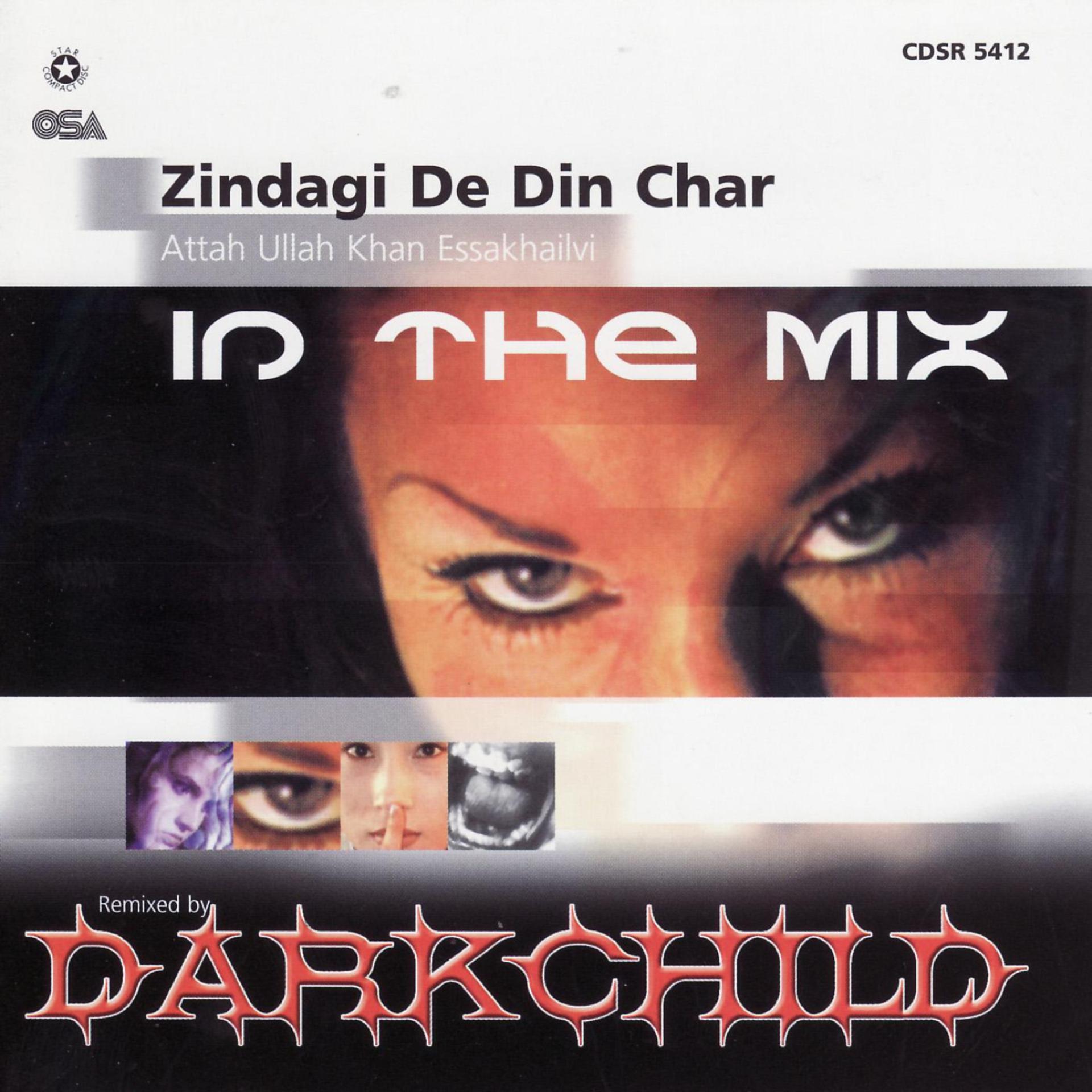Постер альбома Drak Child ( In the Mix)
