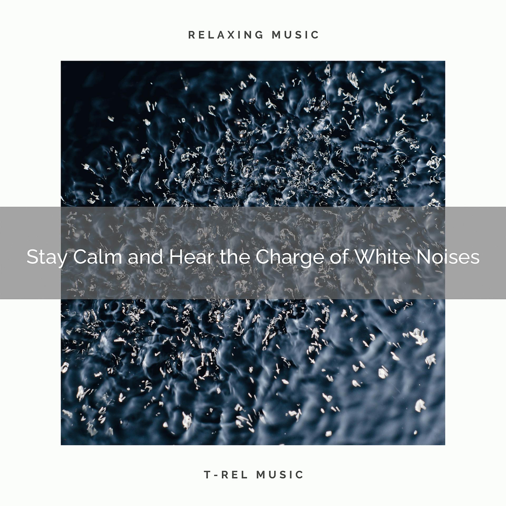 Постер альбома Stay Calm and Hear the Charge of White Noises