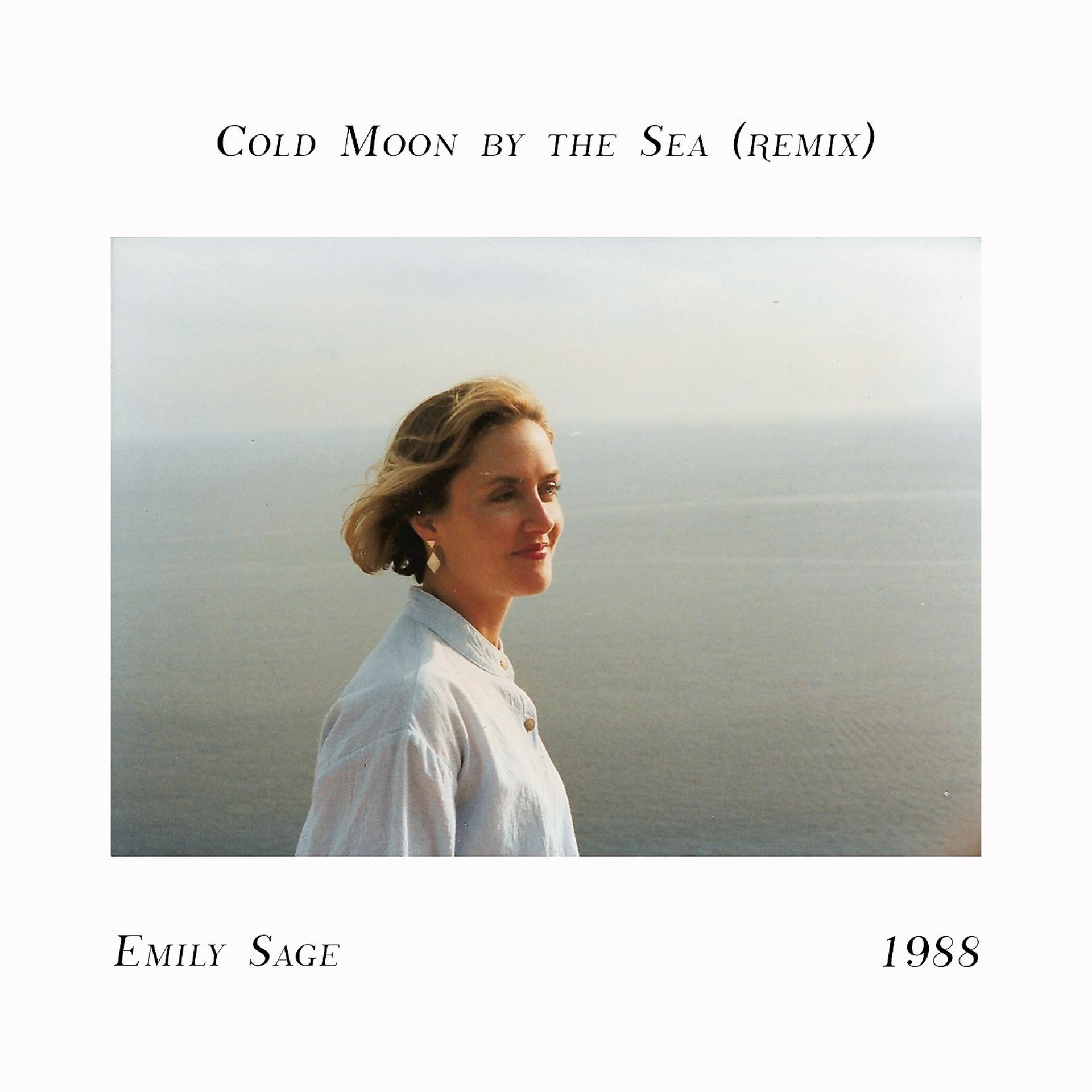 Постер альбома Cold Moon by the Sea (Remix)