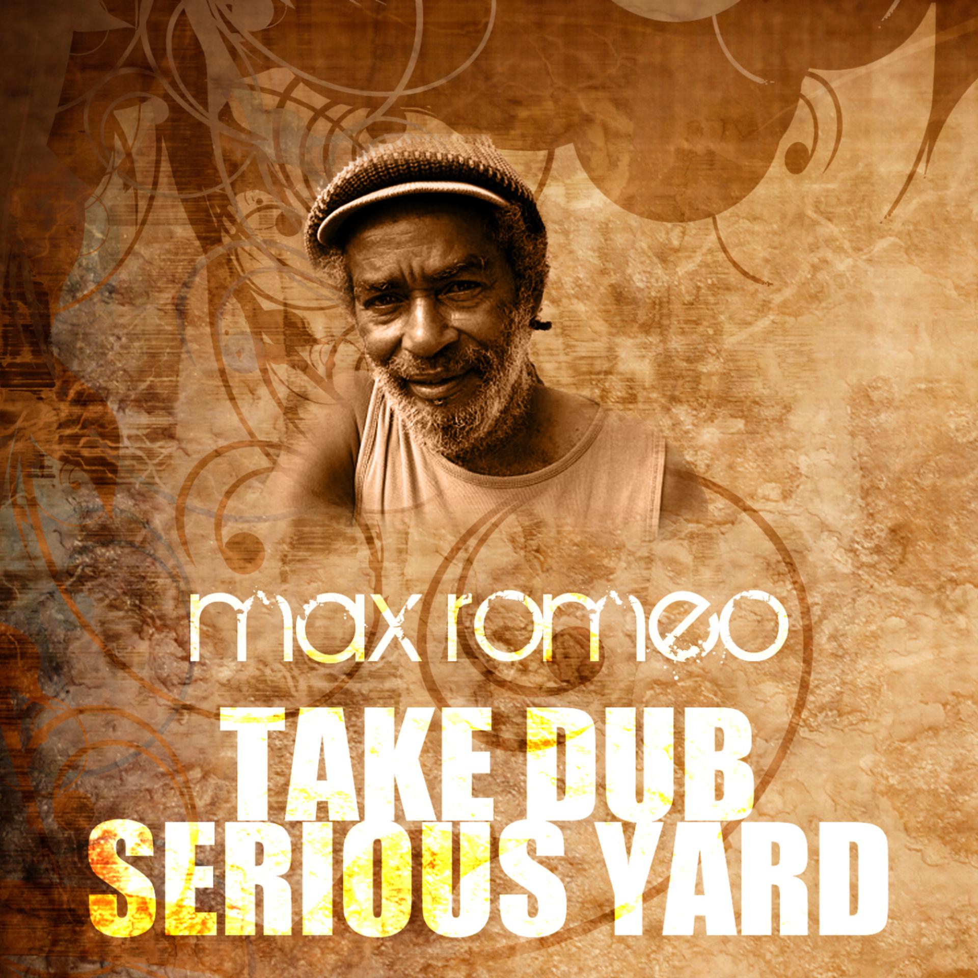 Постер альбома Take Dub Serious Yard