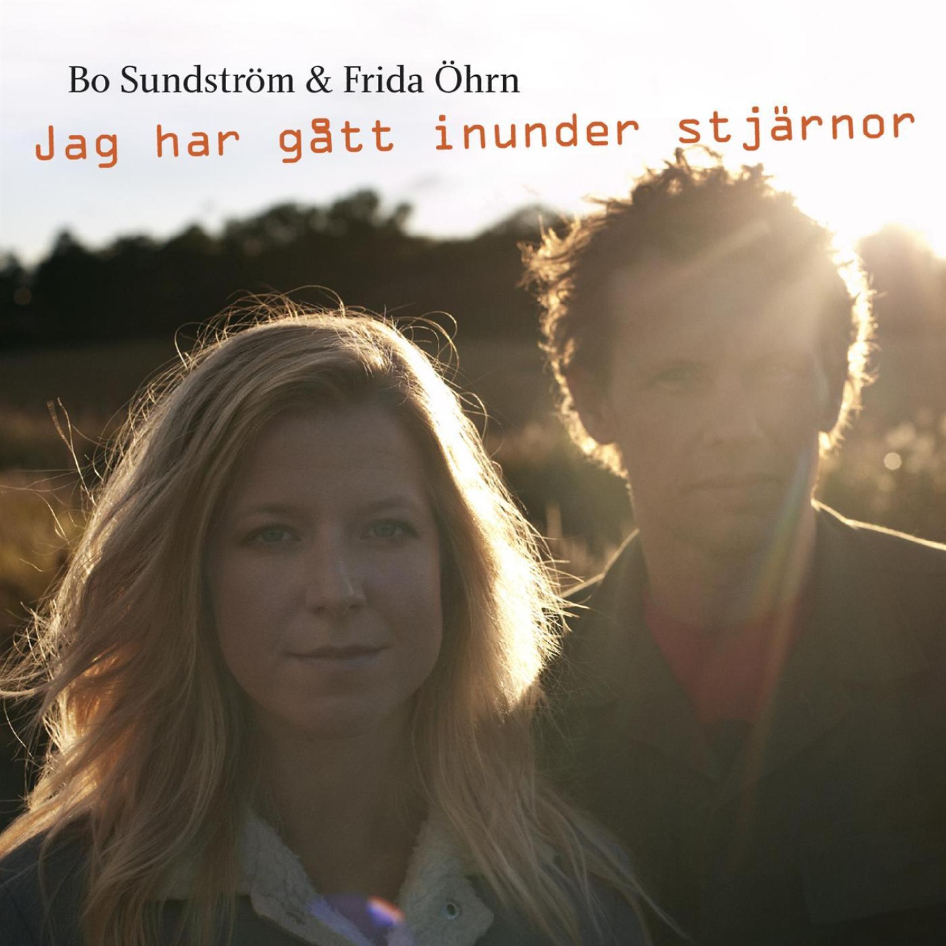 Постер альбома Jag Har Gått Inunder Stjärnor
