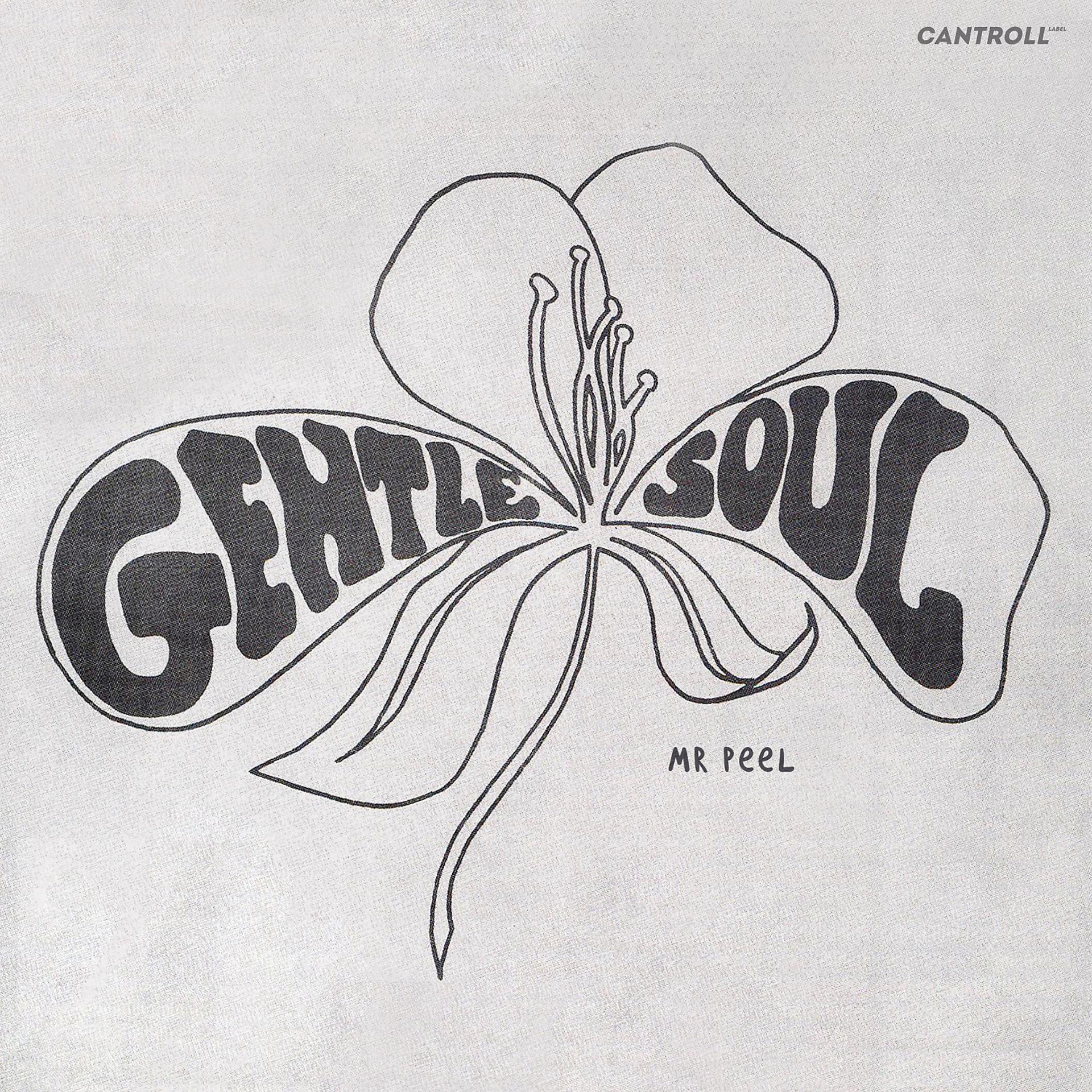 Постер альбома Gentle Soul