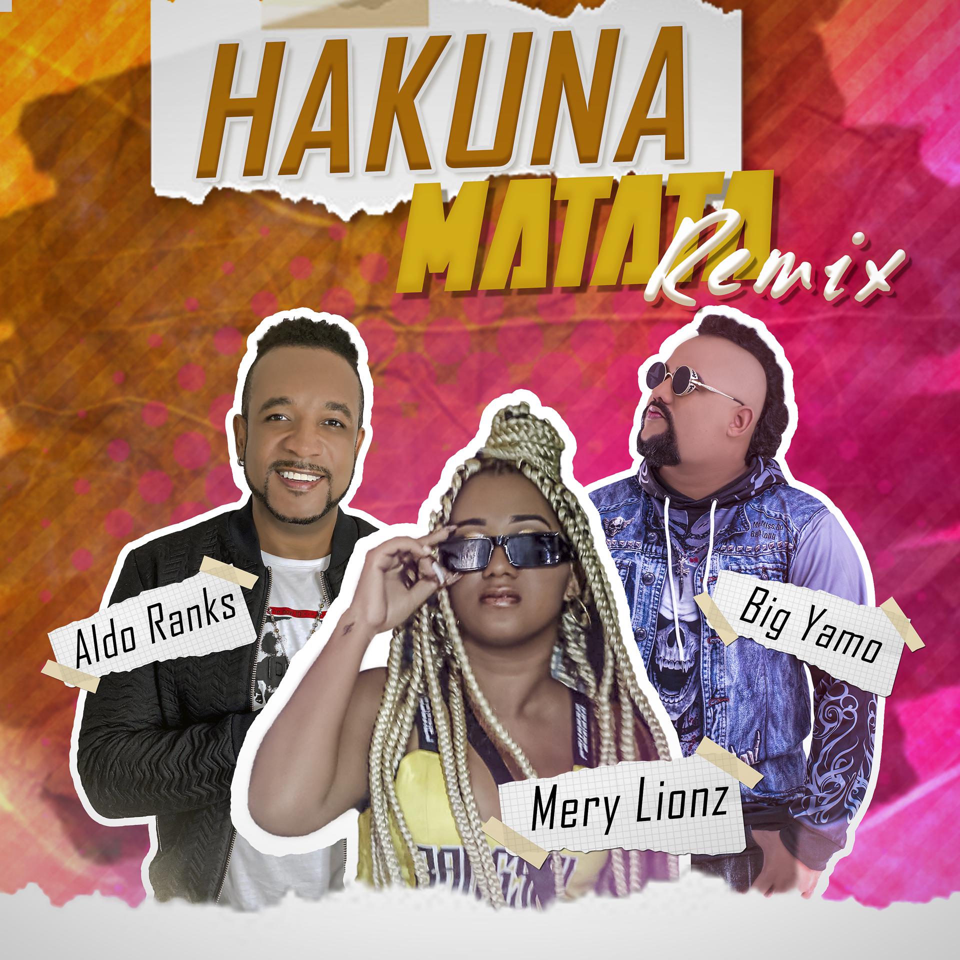 Постер альбома Hakuna Matata (Remix)