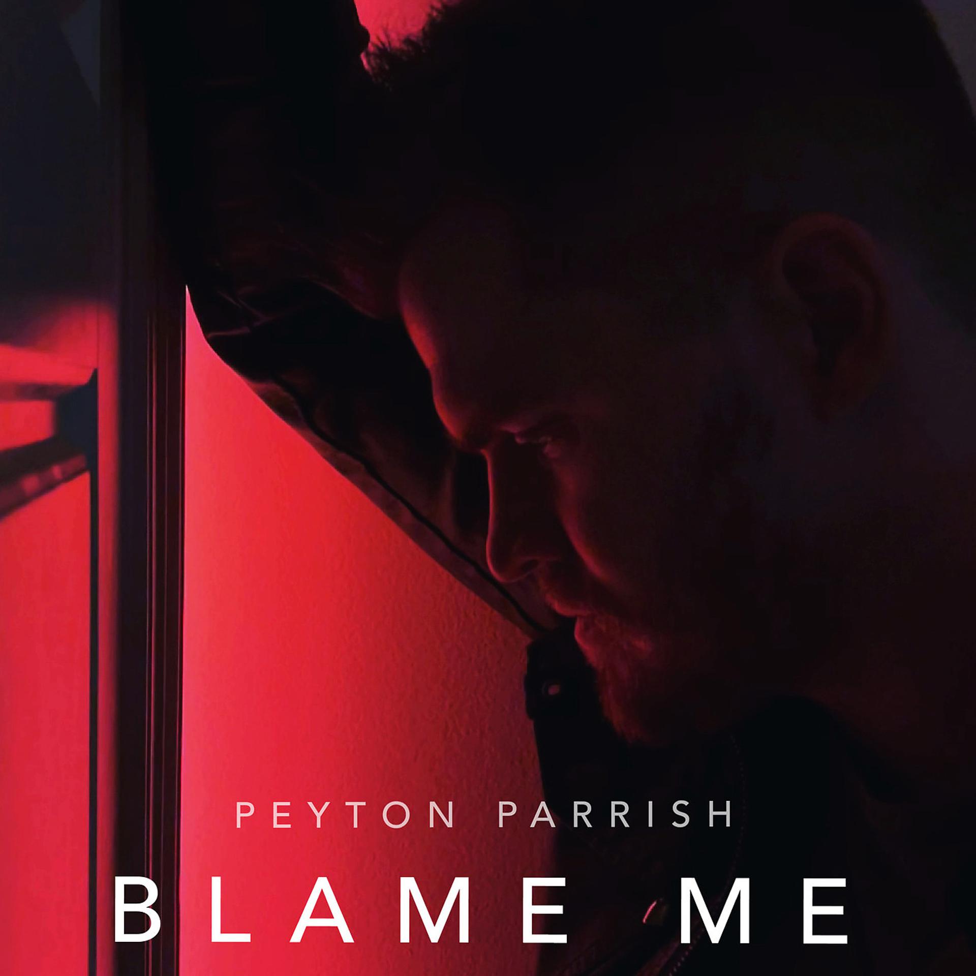 Постер альбома Blame Me