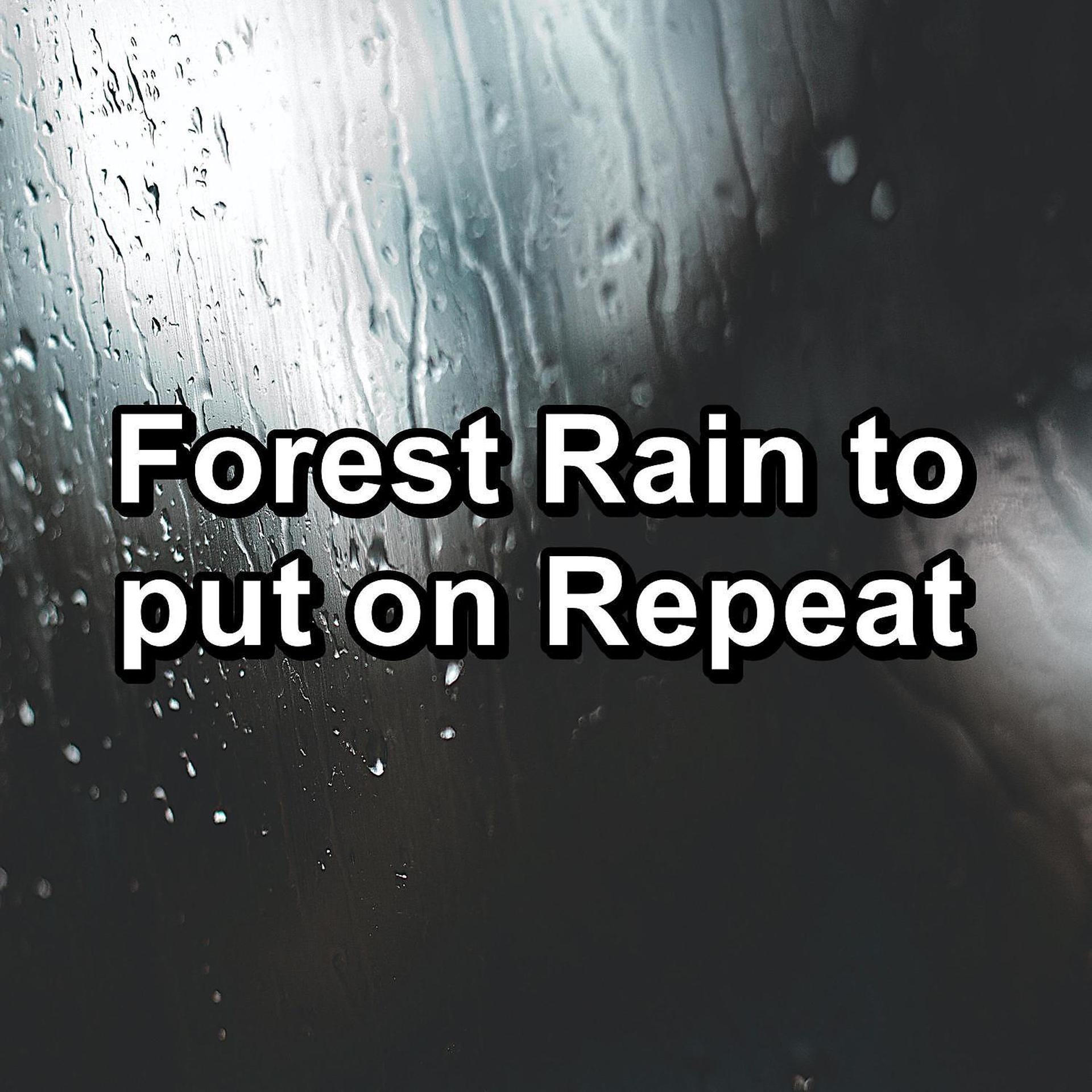 Постер альбома Forest Rain to put on Repeat