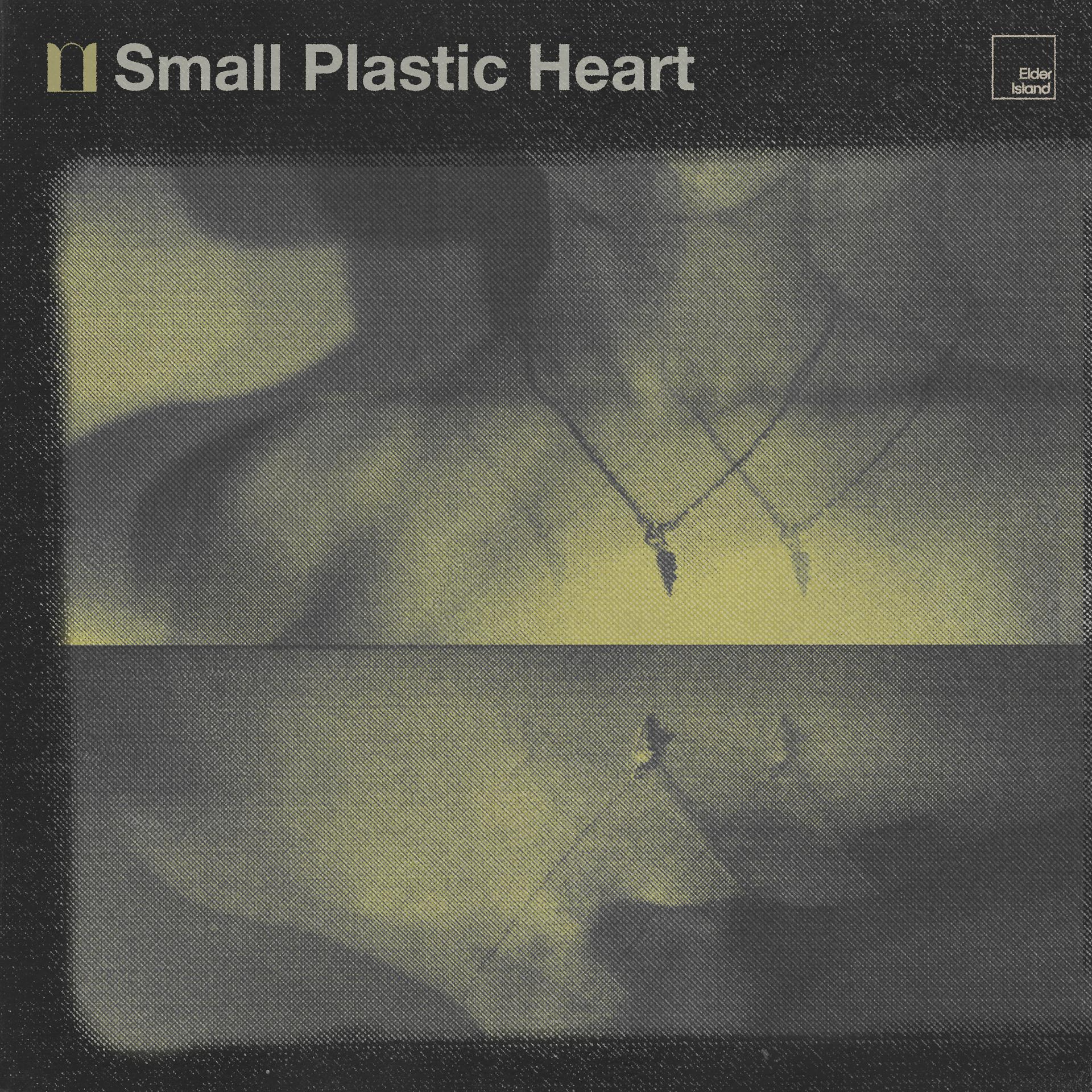 Постер альбома Small Plastic Heart