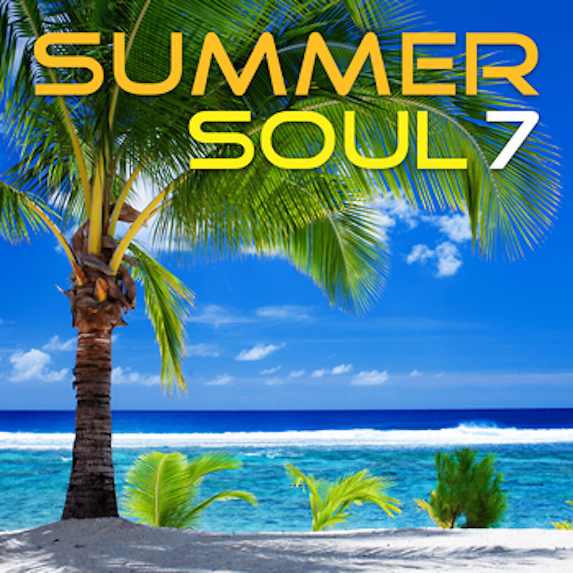 Постер альбома Summer Soul 7
