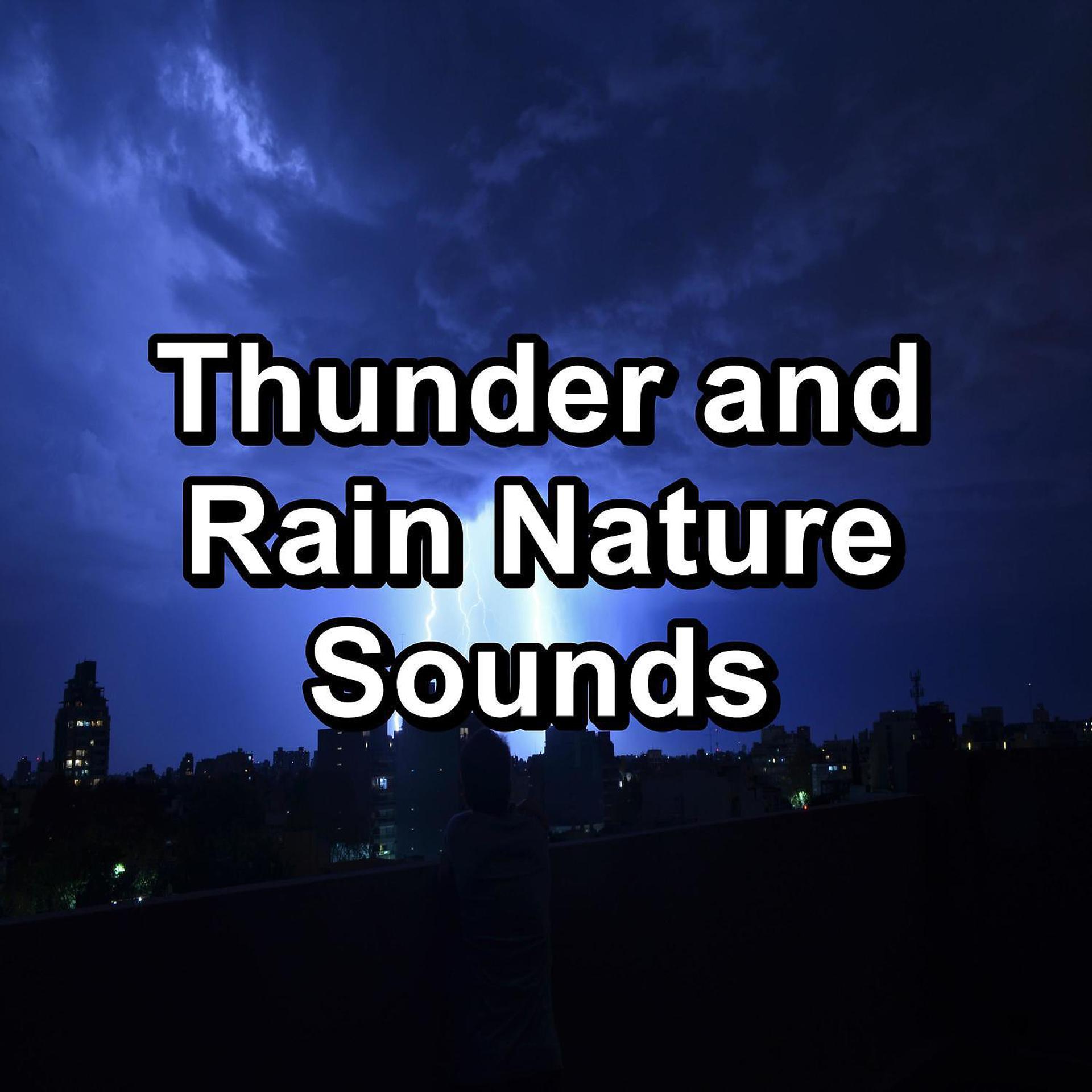Постер альбома Thunder and Rain Nature Sounds