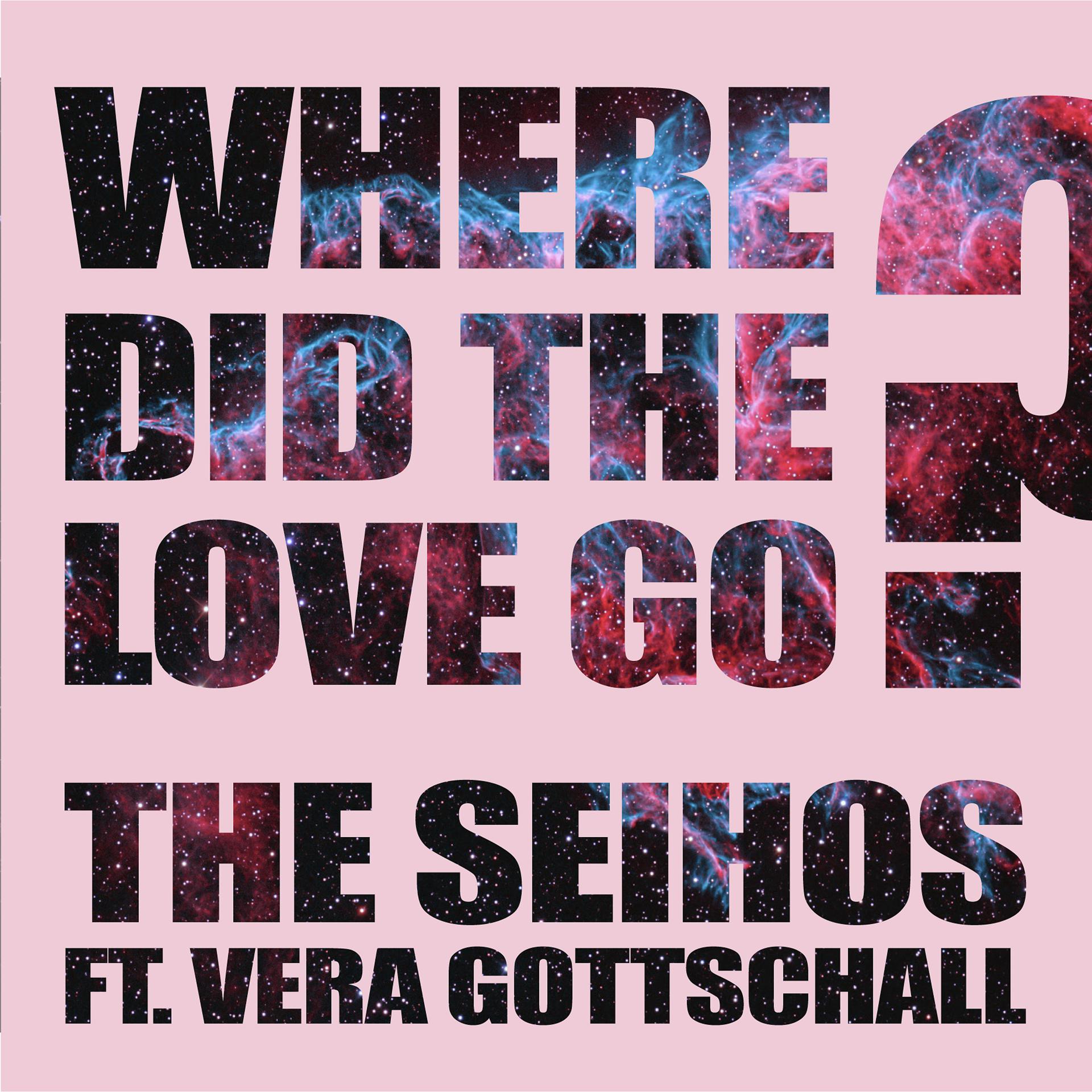 Постер альбома Where Did the Love Go? (feat. Vera Gottschall)