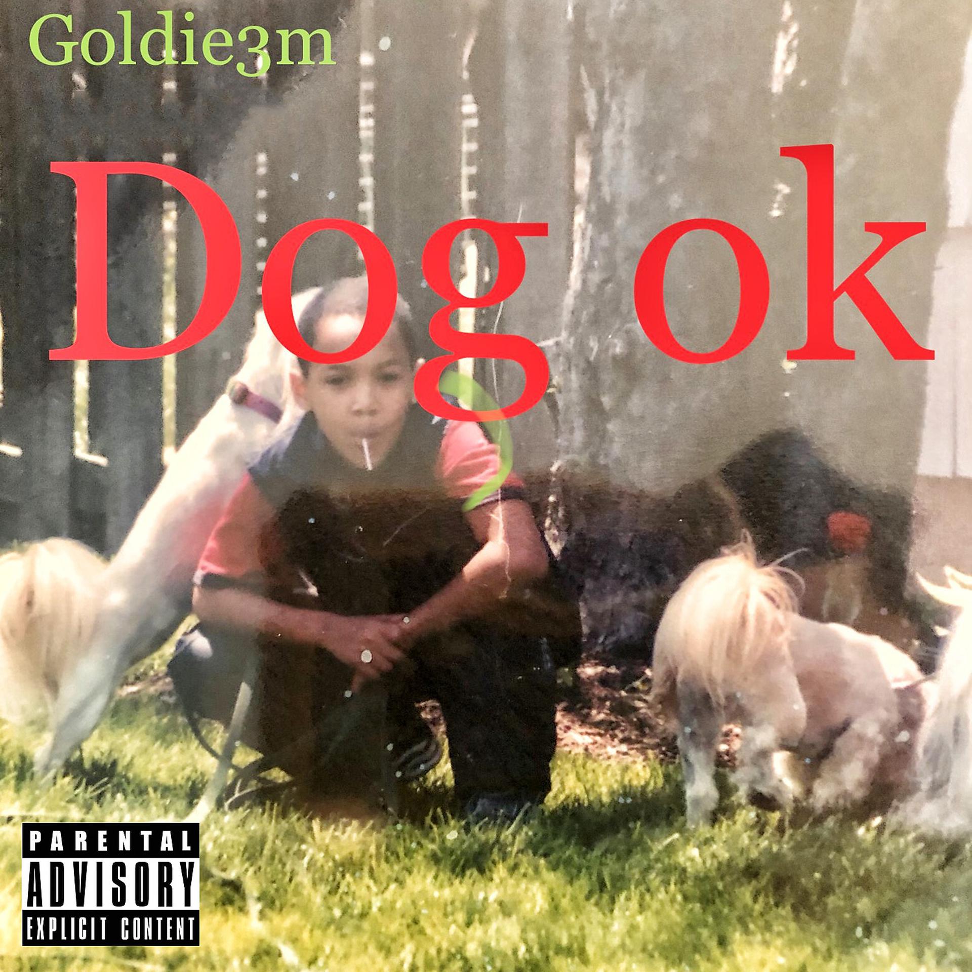 Постер альбома Dog Ok