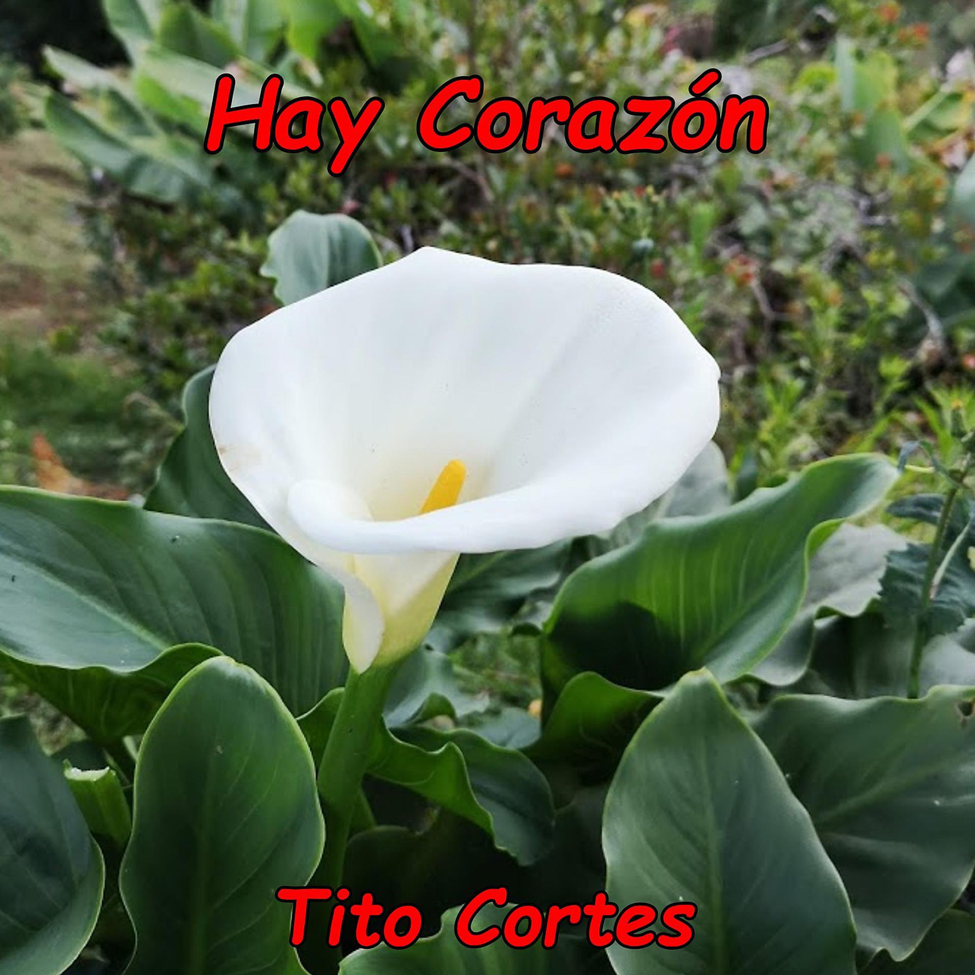 Постер альбома Hay Corazón
