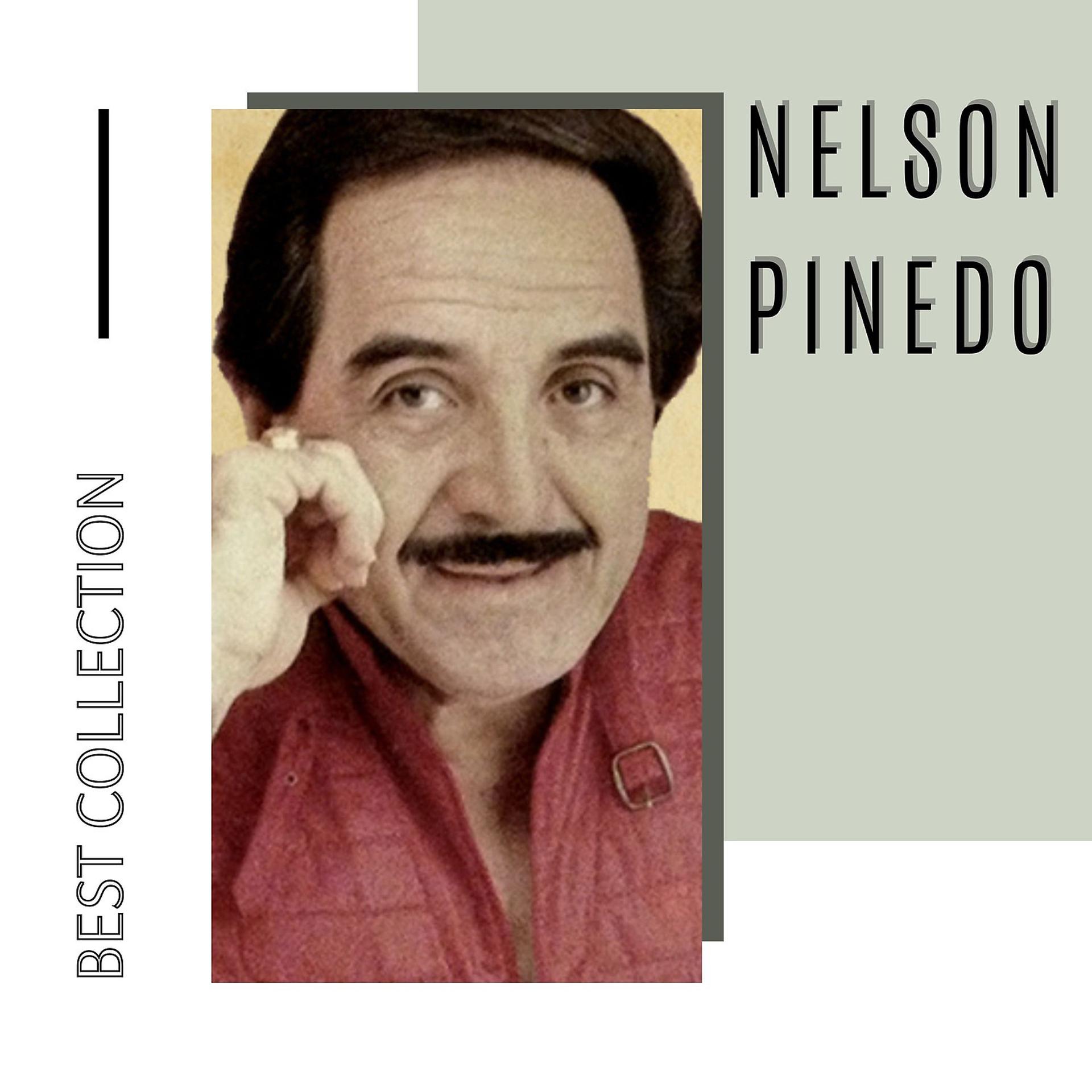 Постер альбома Best Collection Nelson Pinedo