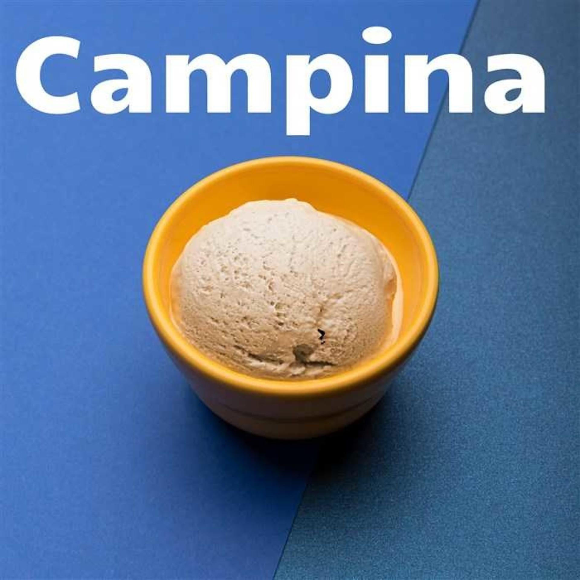Постер альбома Campina