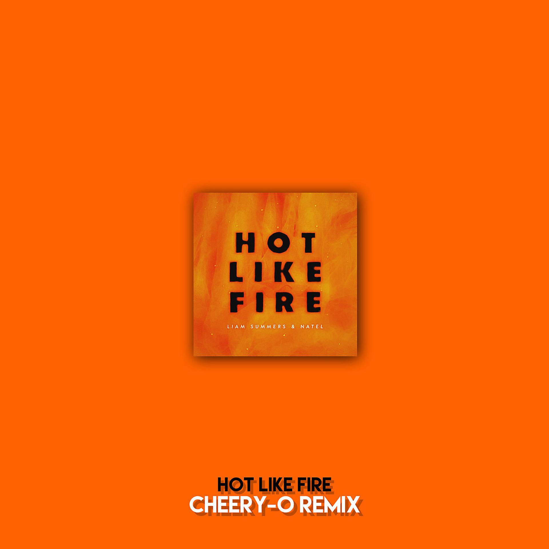 Постер альбома Hot Like Fire (Cheery-O Remix)