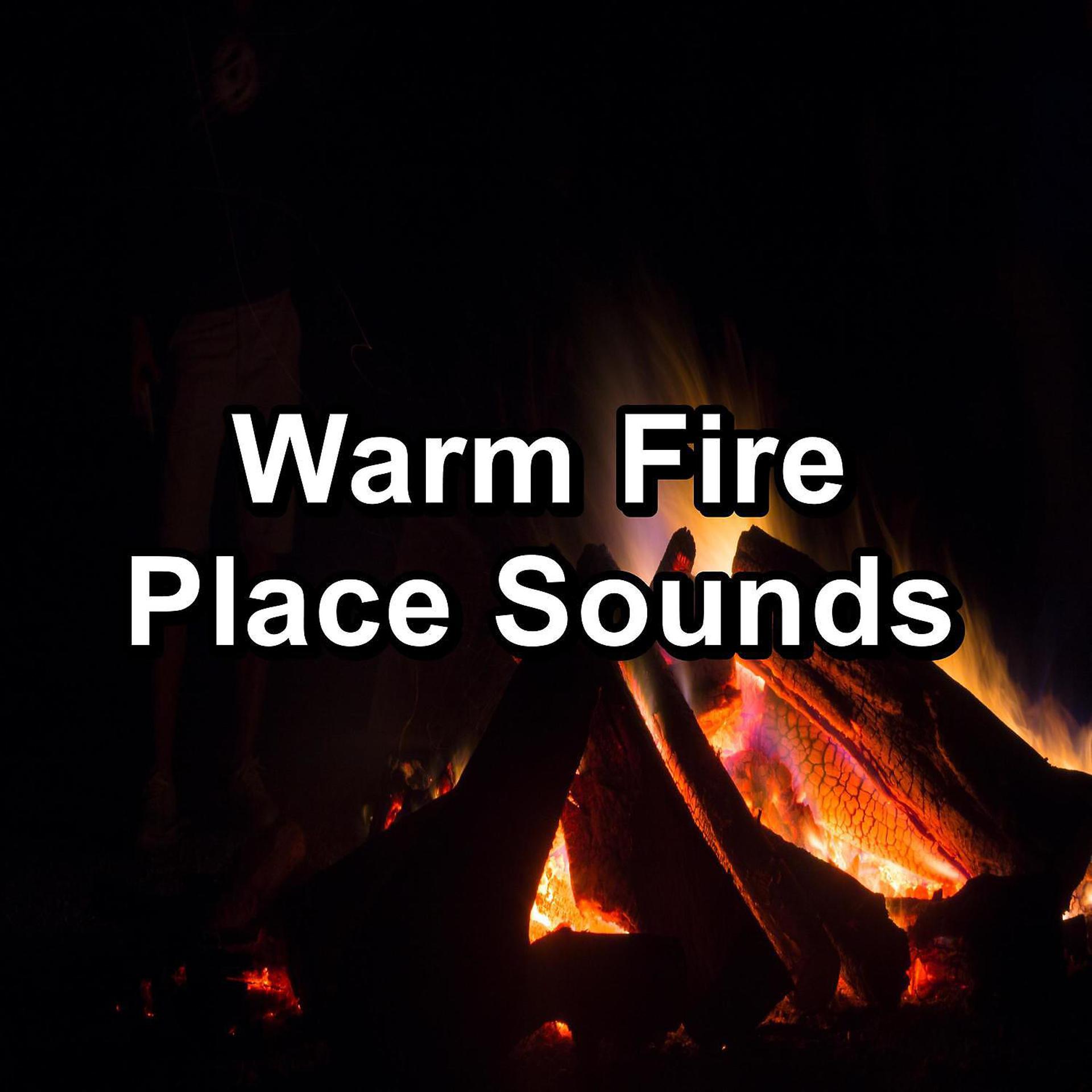 Постер альбома Warm Fire Place Sounds