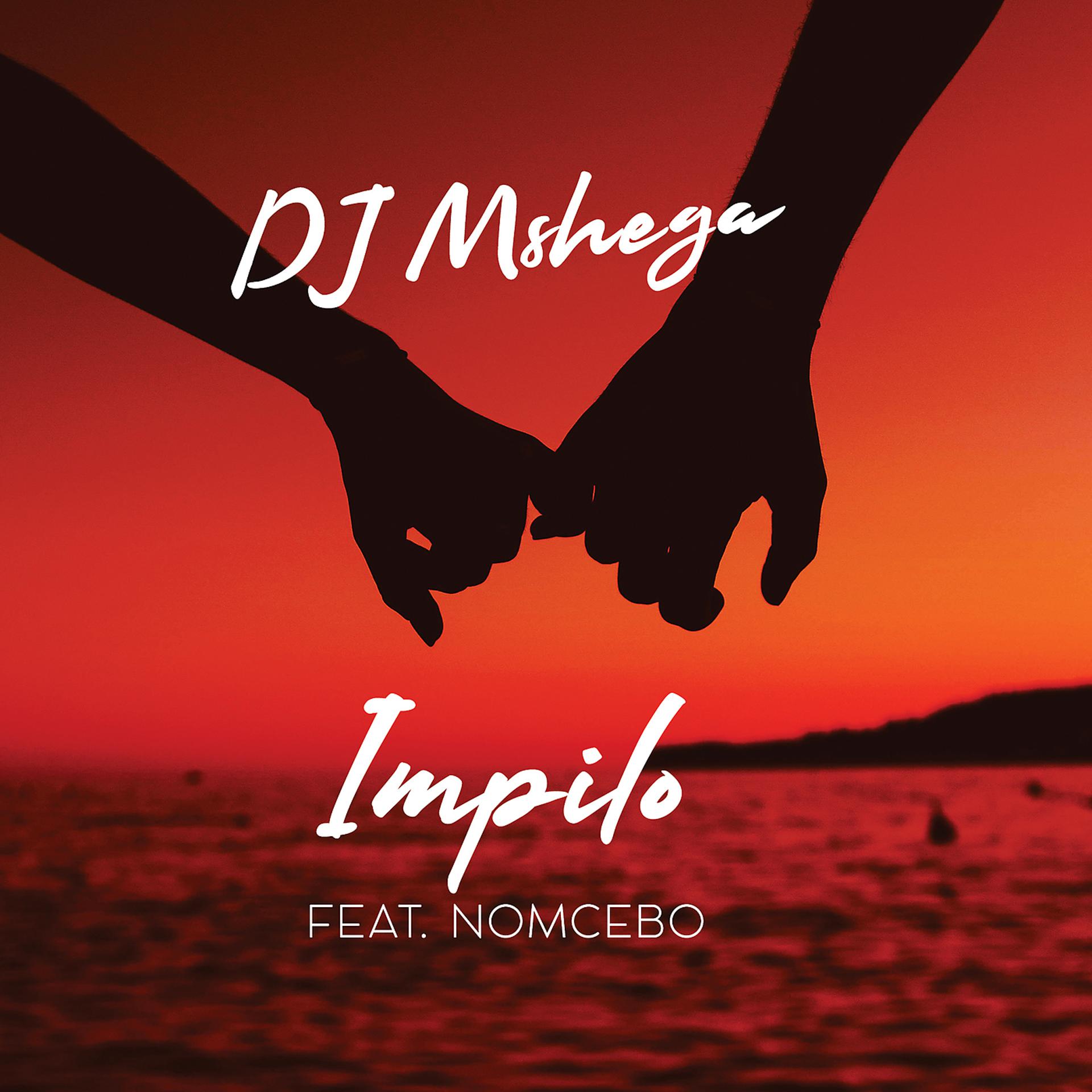 Постер альбома Impilo