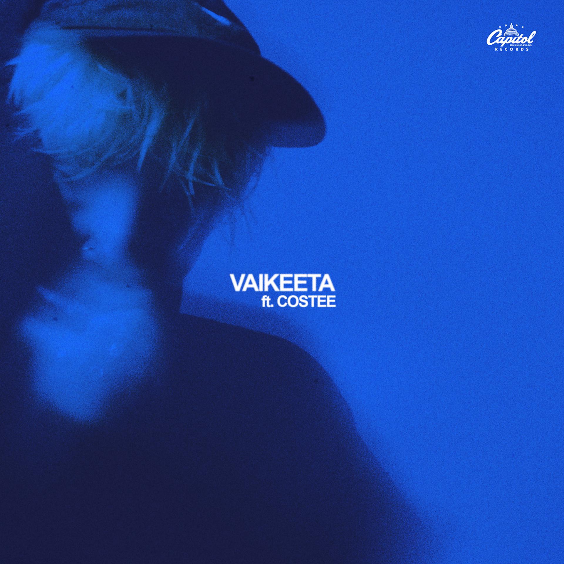 Постер альбома Vaikeeta