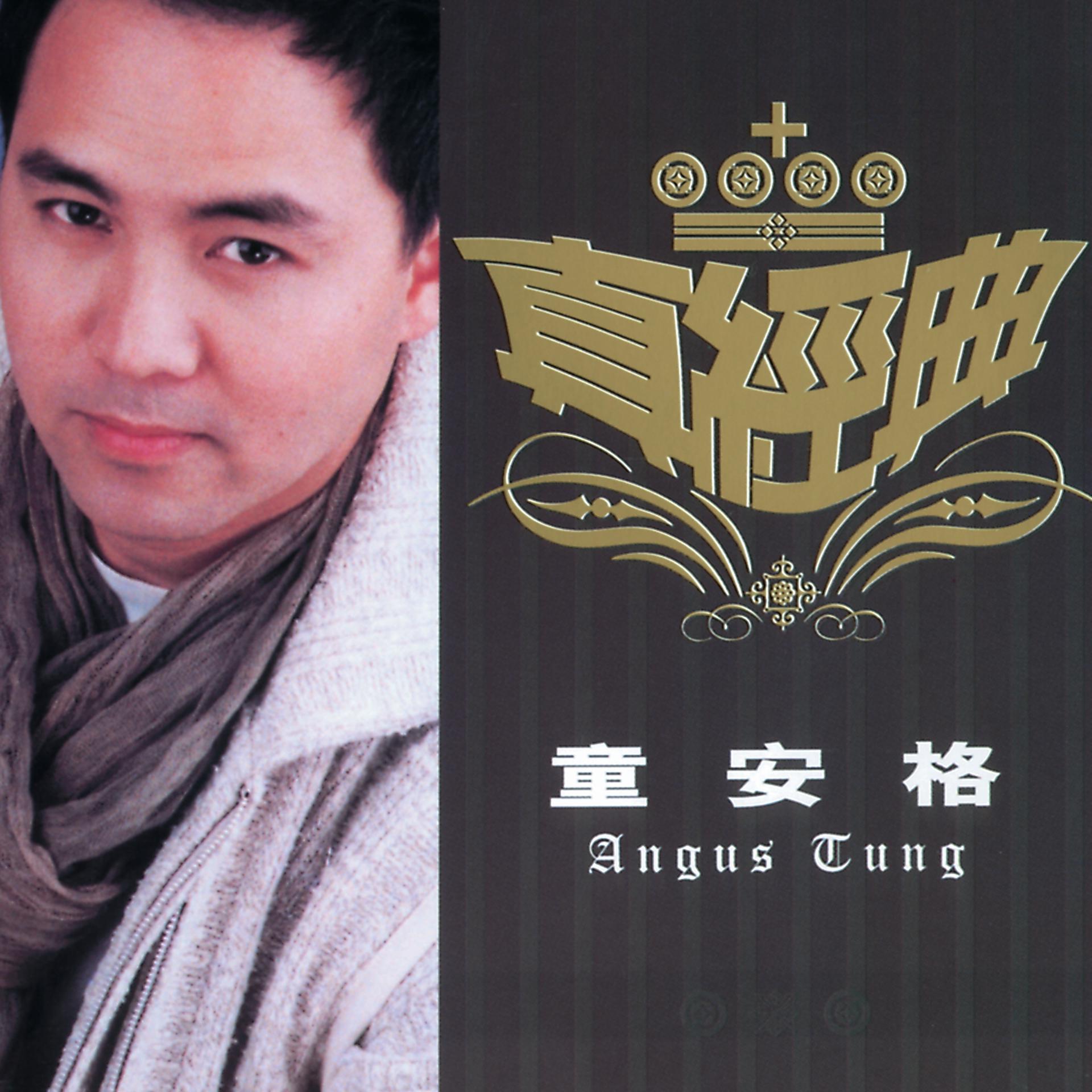 Постер альбома Zhen Jin Dian - Angus Tung