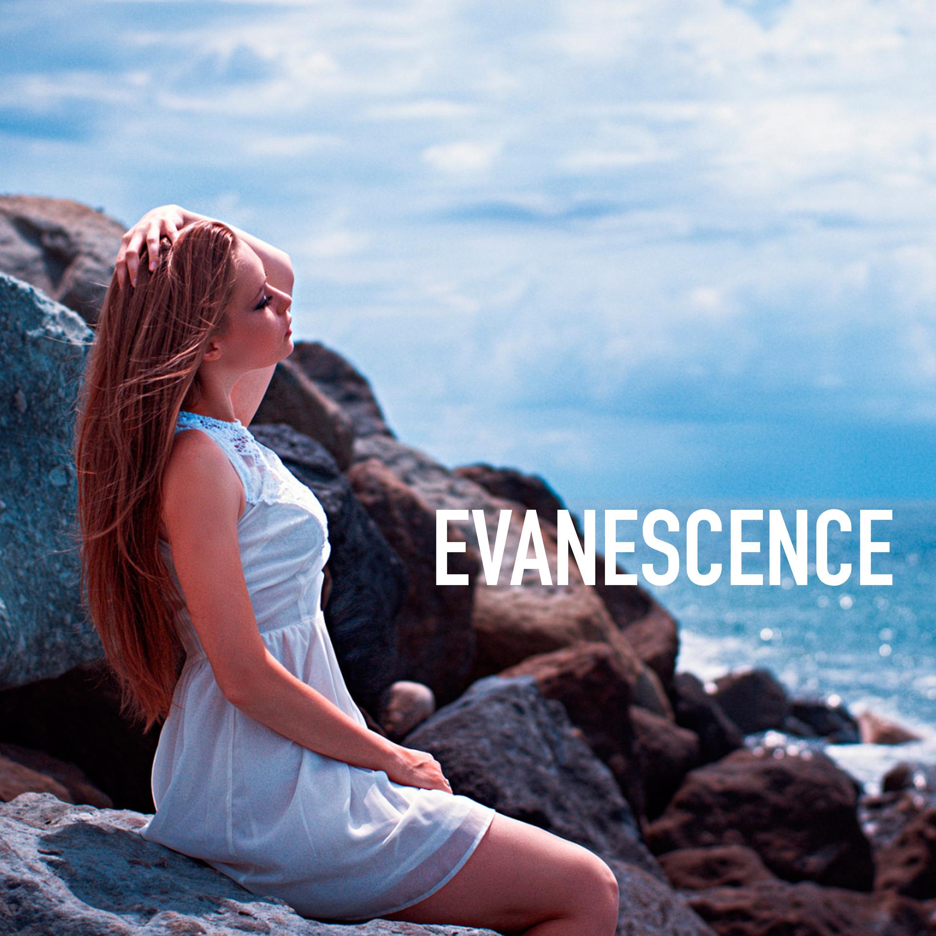 Постер альбома Evanescence