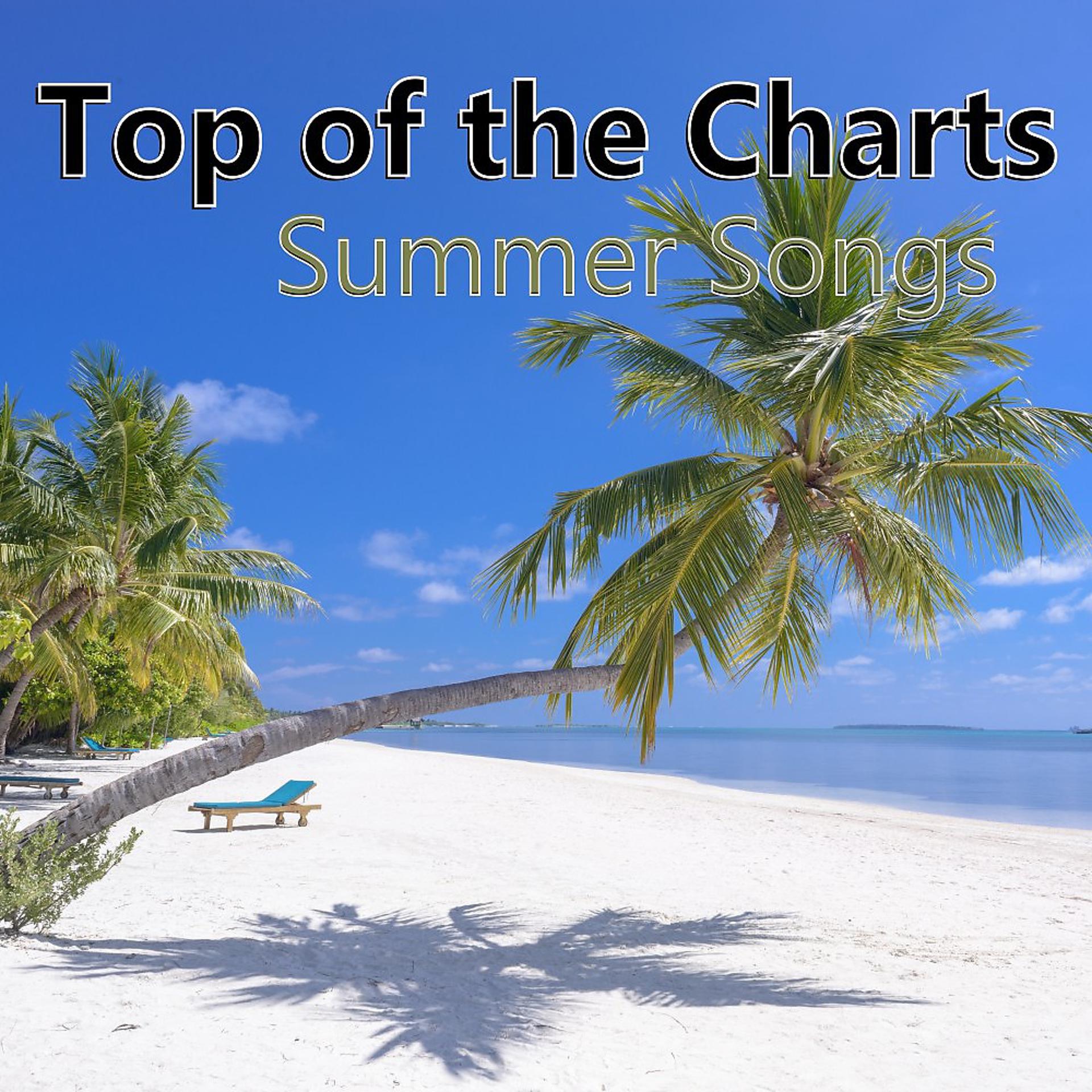 Постер альбома Top of the Charts Summer Songs