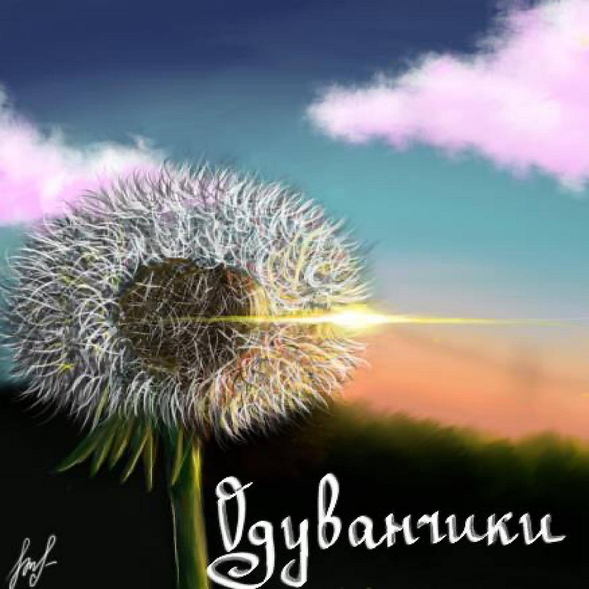 Постер альбома Одуванчики