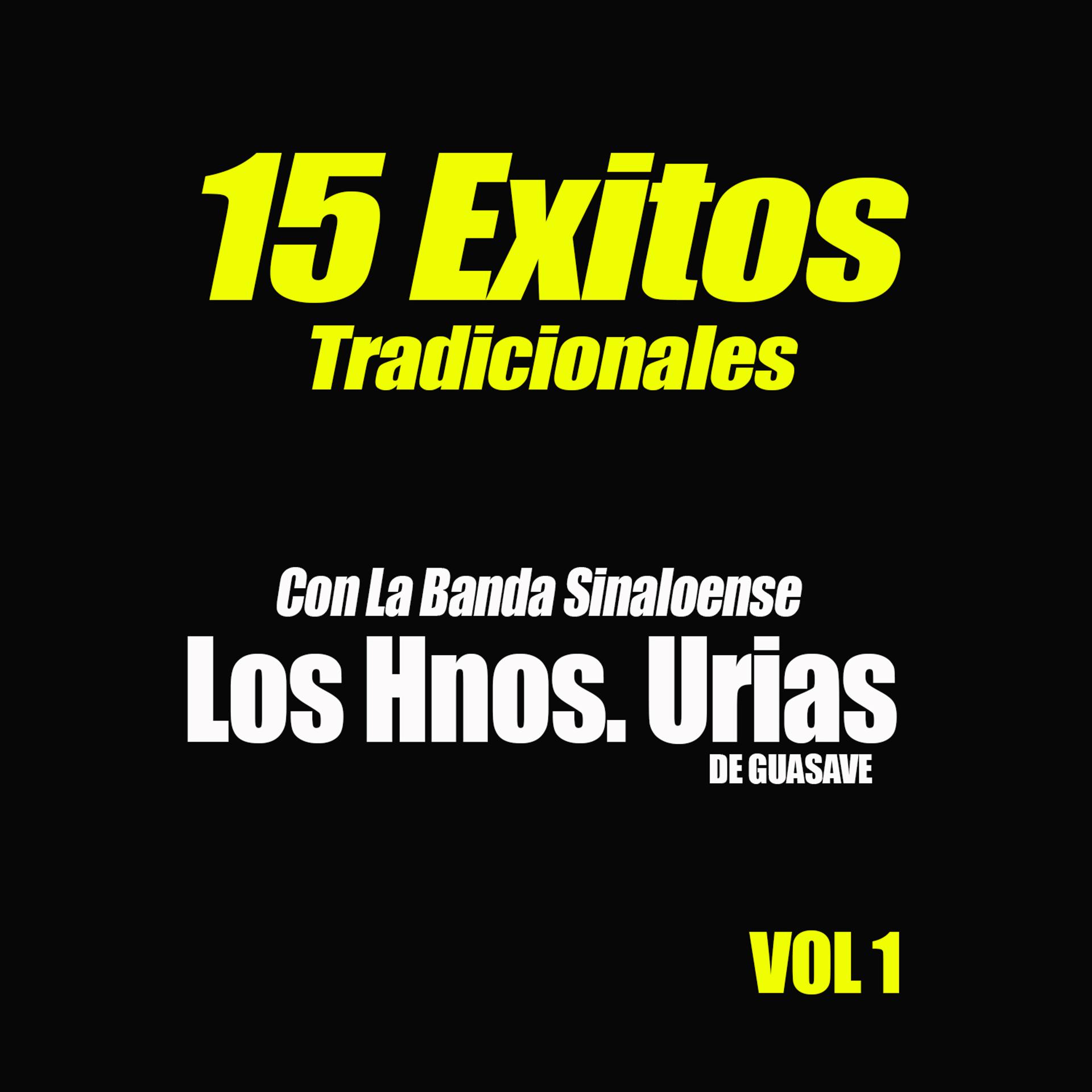 Постер альбома 15 Exitos Tradicionales, Vol.1