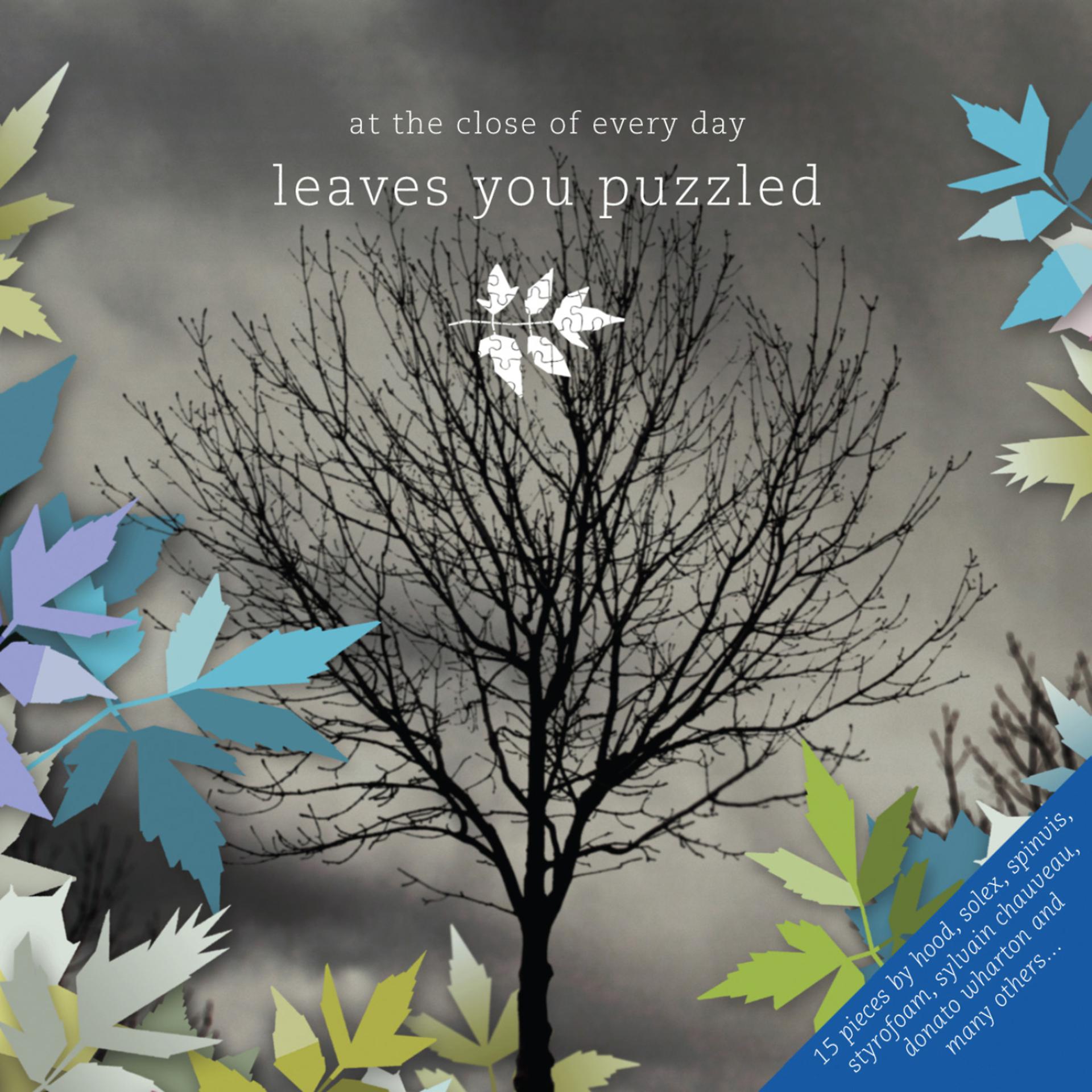 Постер альбома Leaves you puzzled