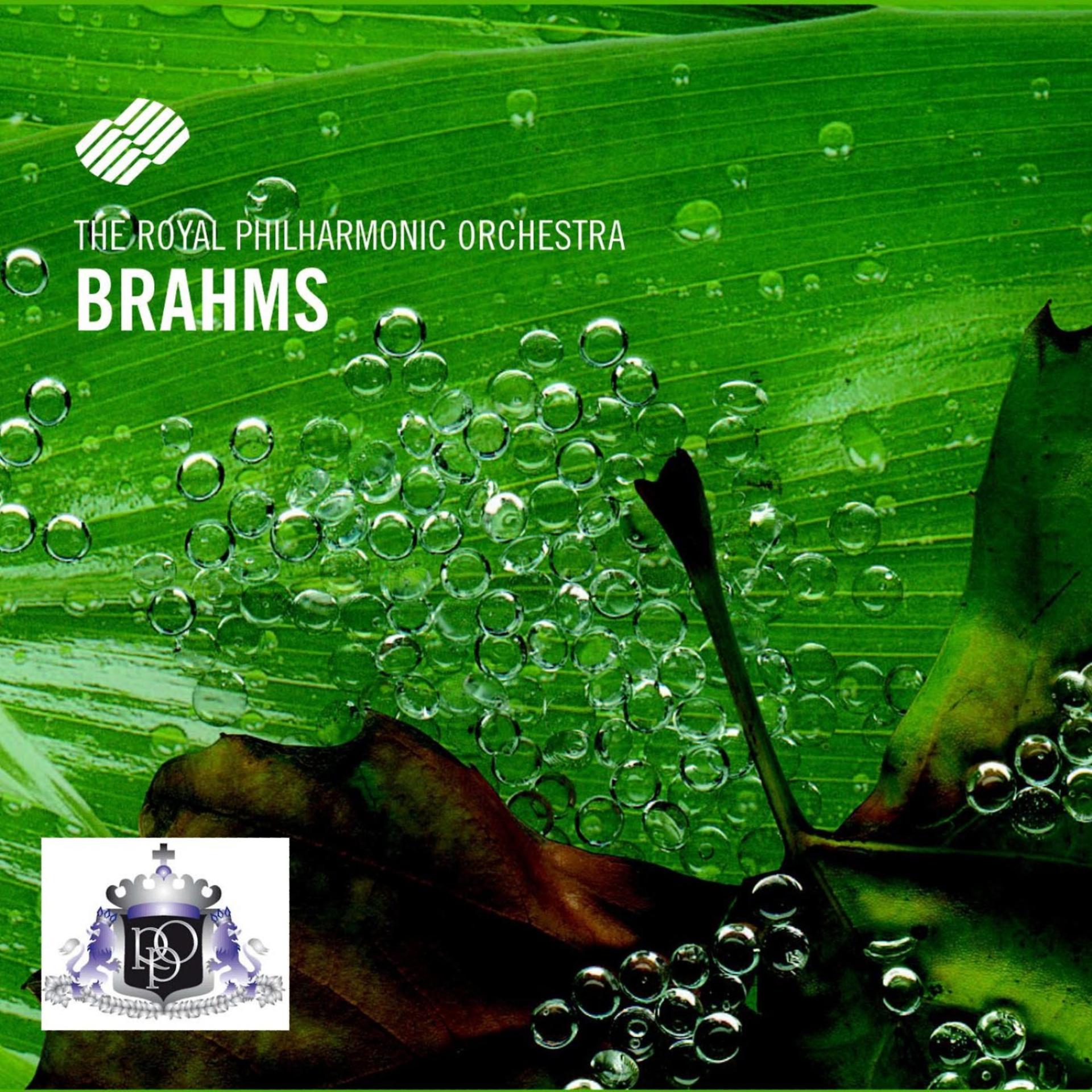 Постер альбома Johannes Brahms