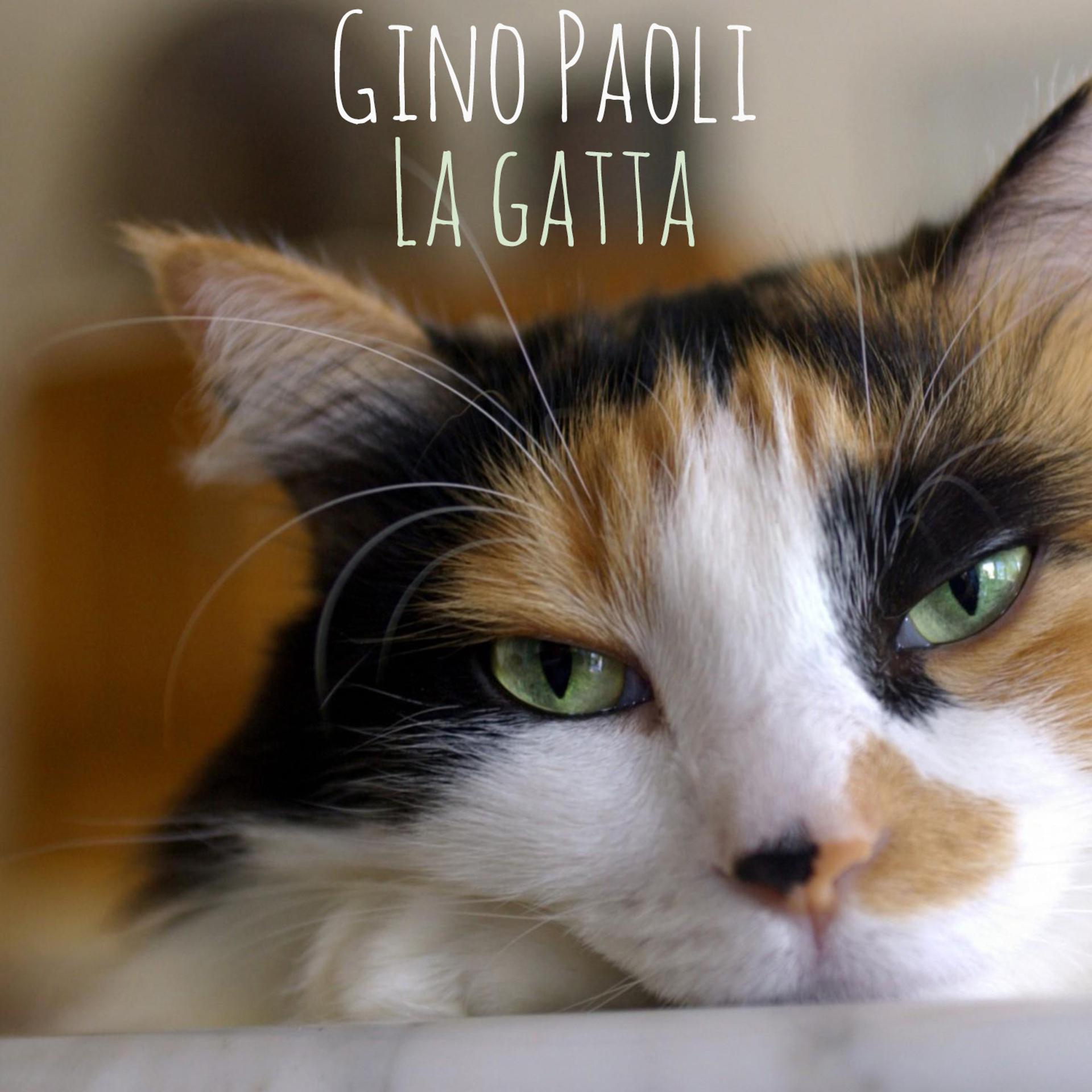 Постер альбома La gatta