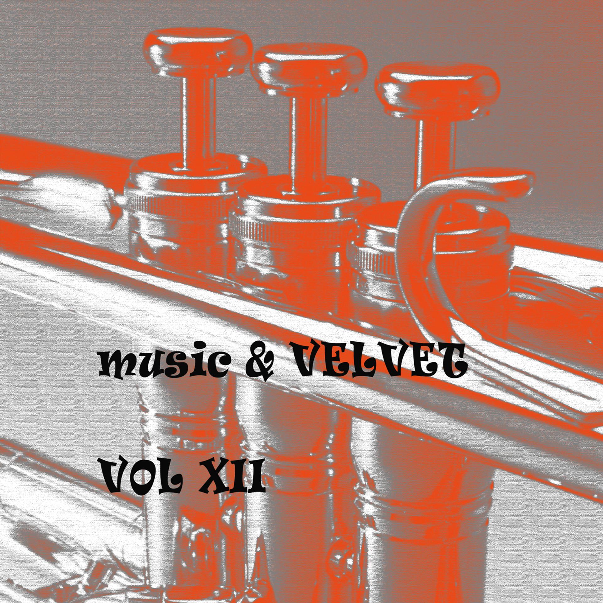 Постер альбома Music & Velvet Vol. XII