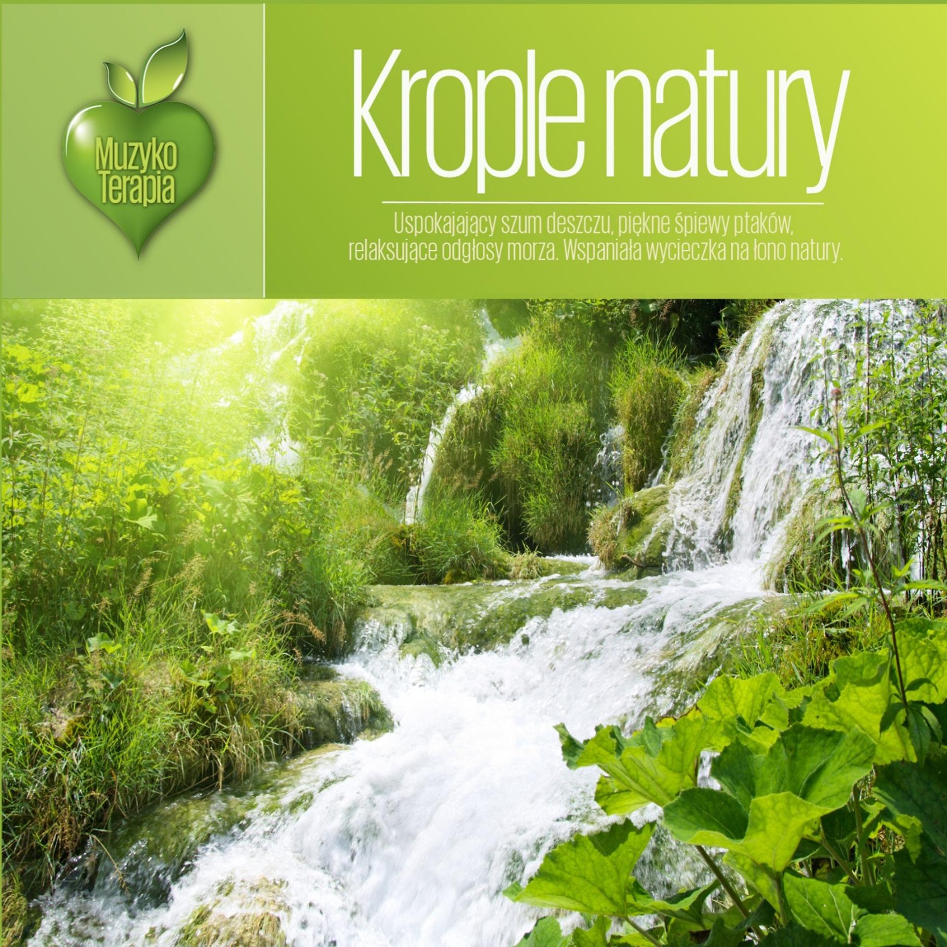 Постер альбома Muzykoterapia - Krople Natury