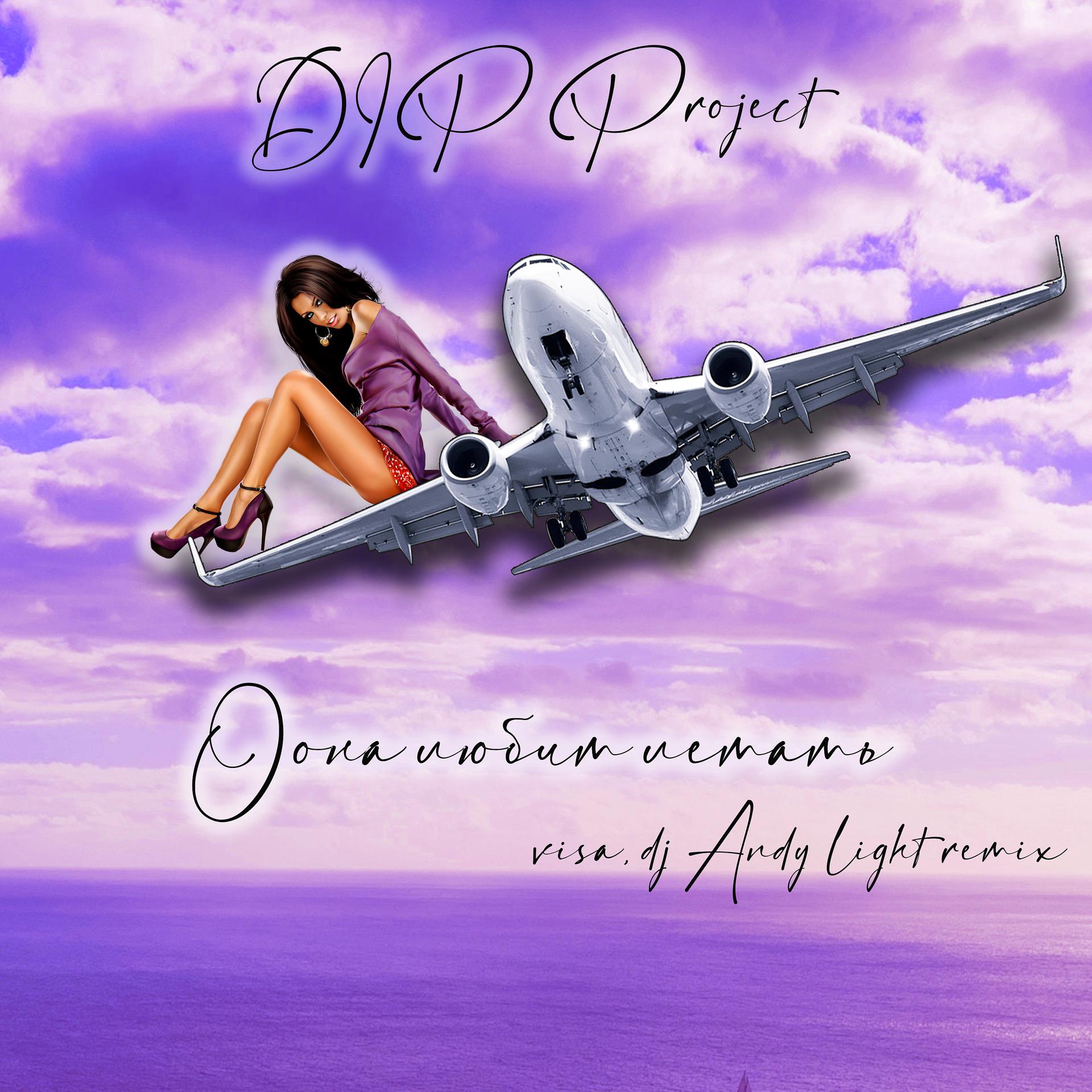Постер альбома Она любит летать (Visa, Dj Andy Light Remix)