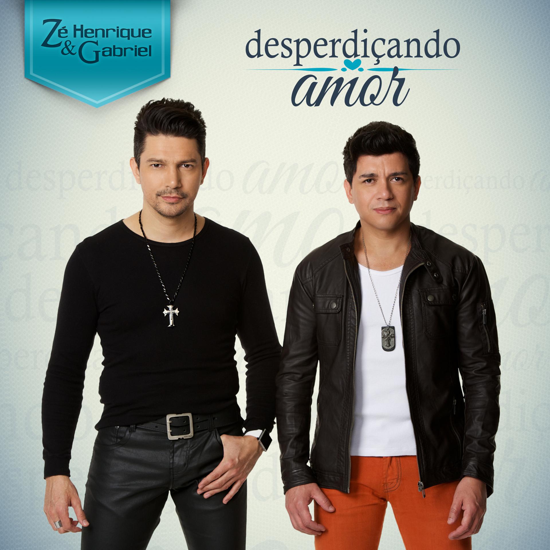 Постер альбома Desperdiçando Amor - Single