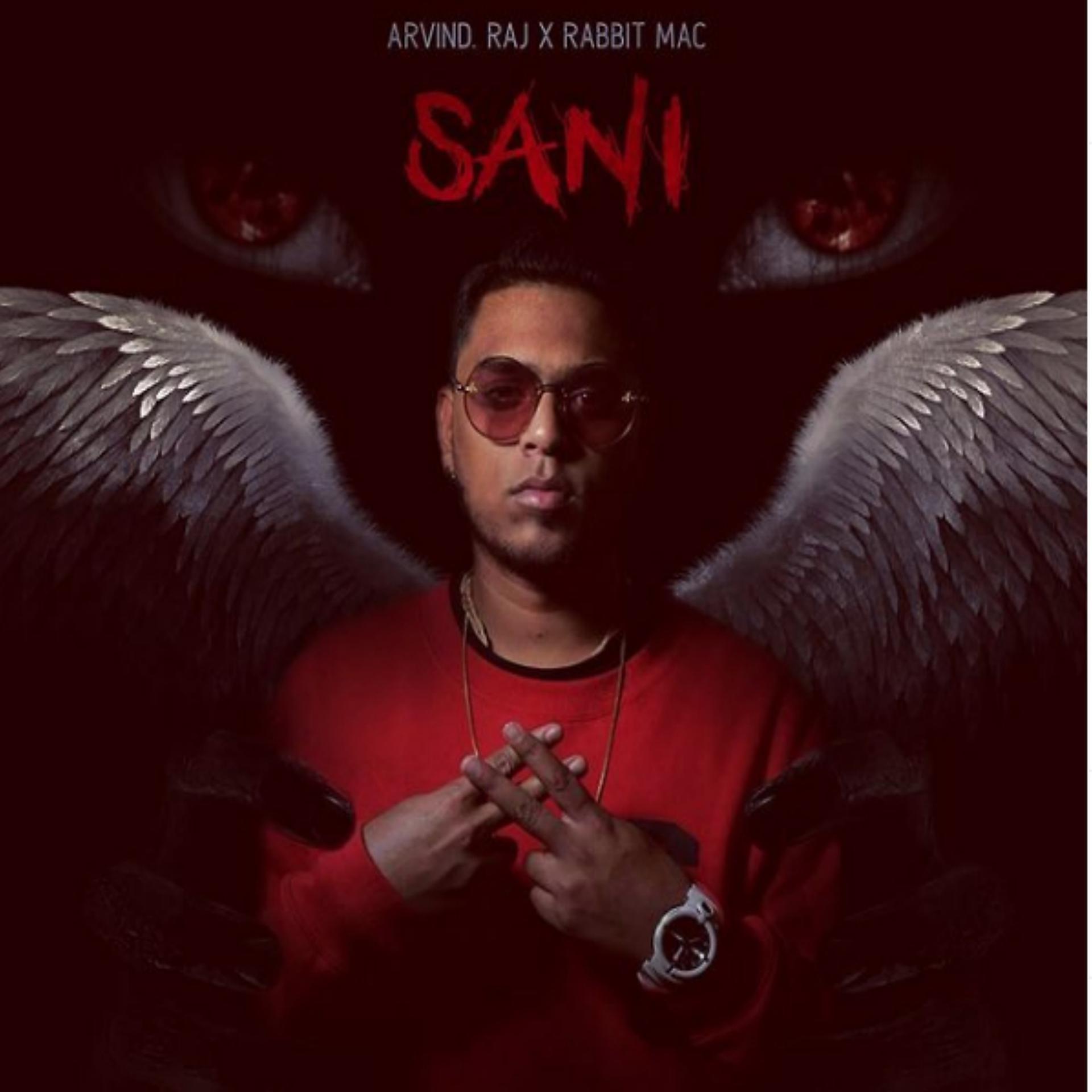 Постер альбома Sani