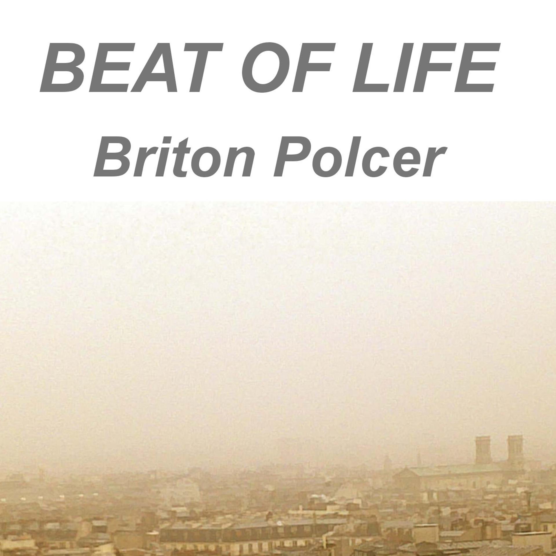 Постер альбома Beat of Life (Fling Mix)