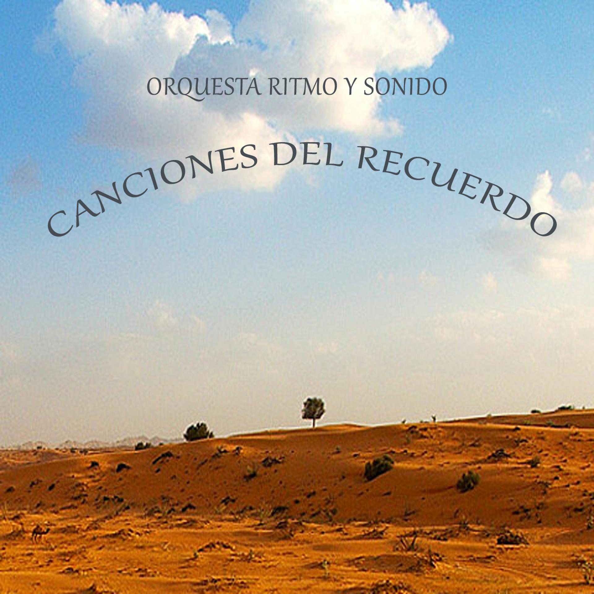 Постер альбома Canciones del Recuerdo